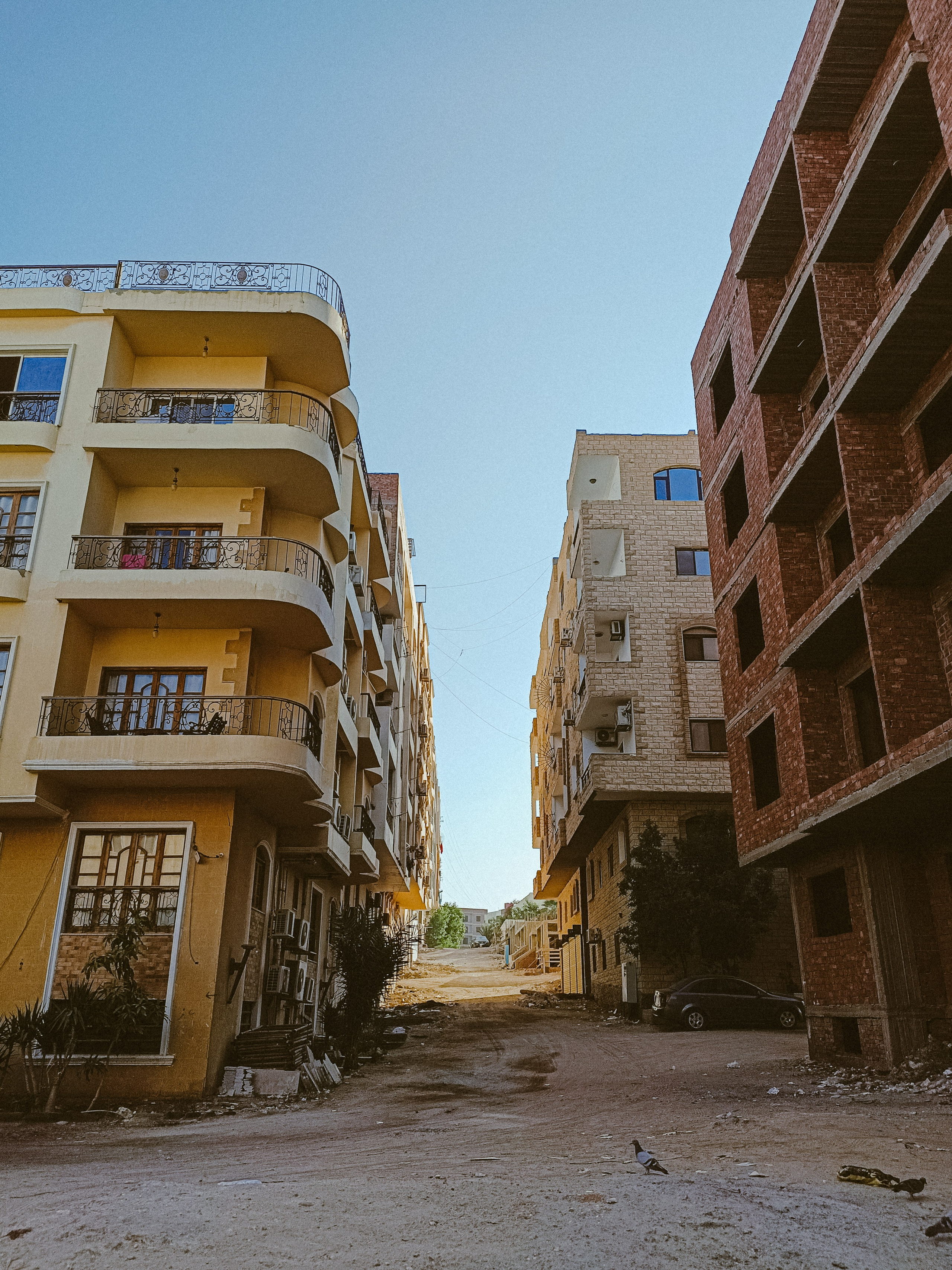 Мобильная. Jorgis — фотограф в Хургаде / обучение фотографии