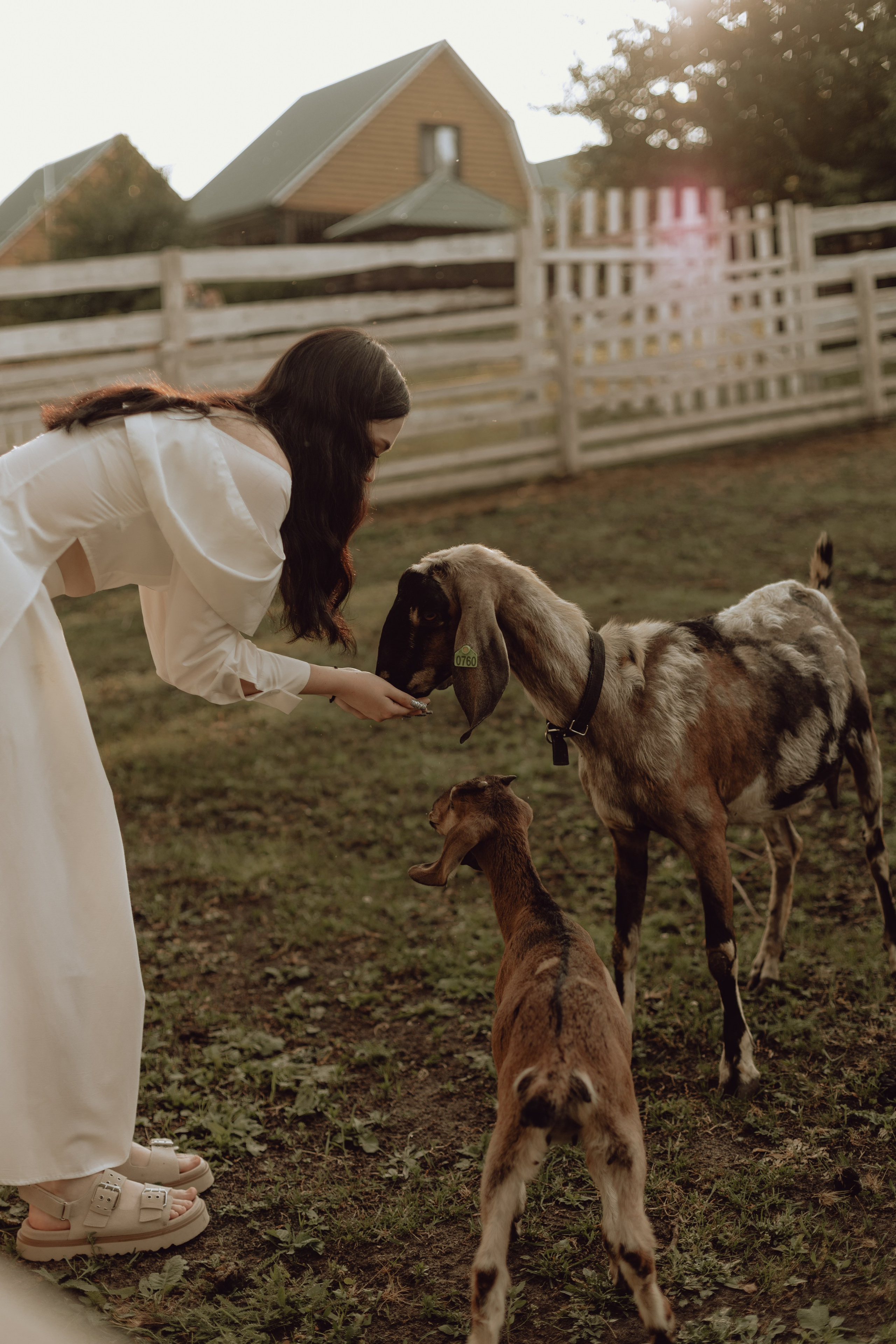 Наташа. Главная