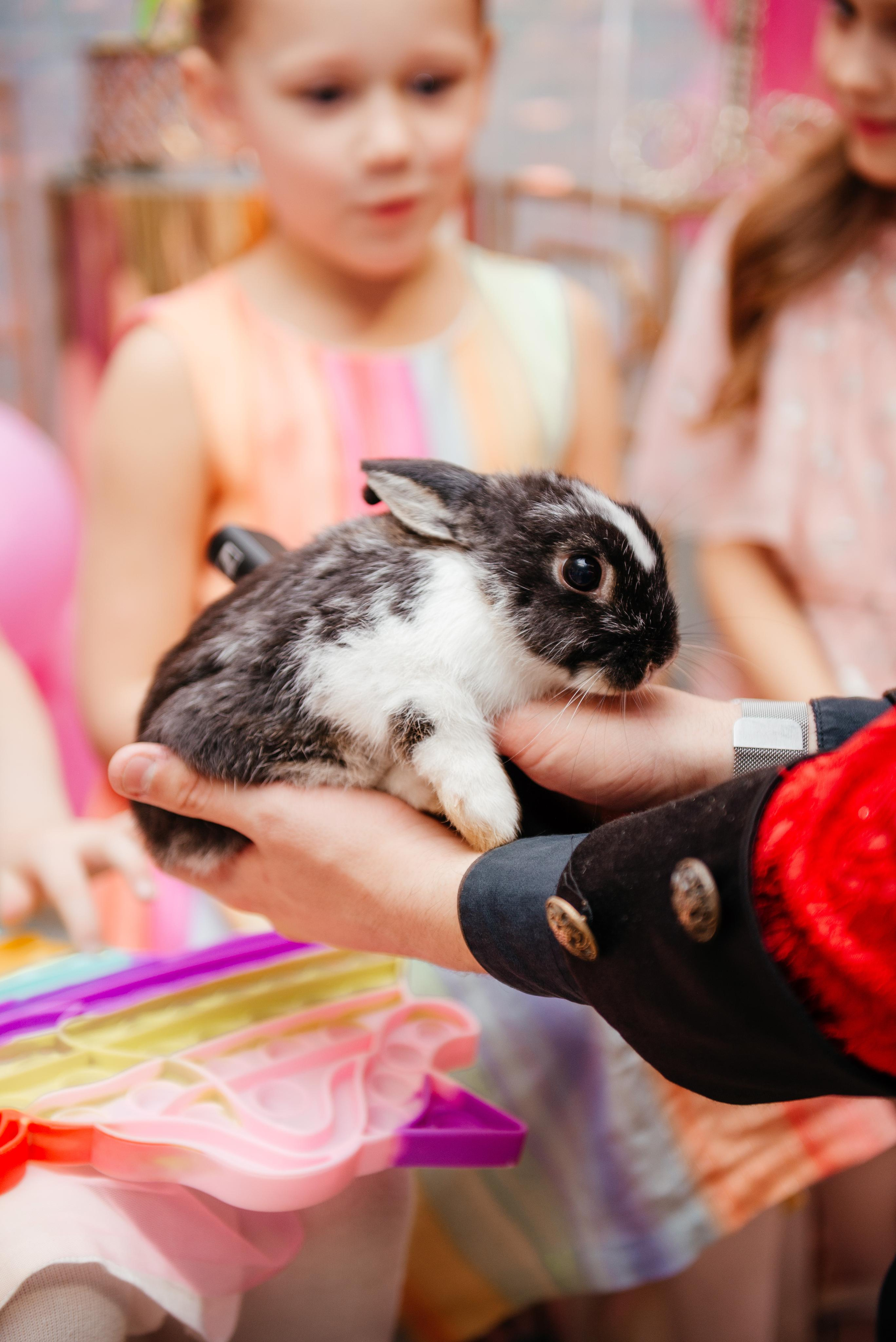 Верочке 7 лет. Репортаж с праздника. Свадебный, семейный фотограф Санкт-Петербург, Колпино, Юлия Хоружая