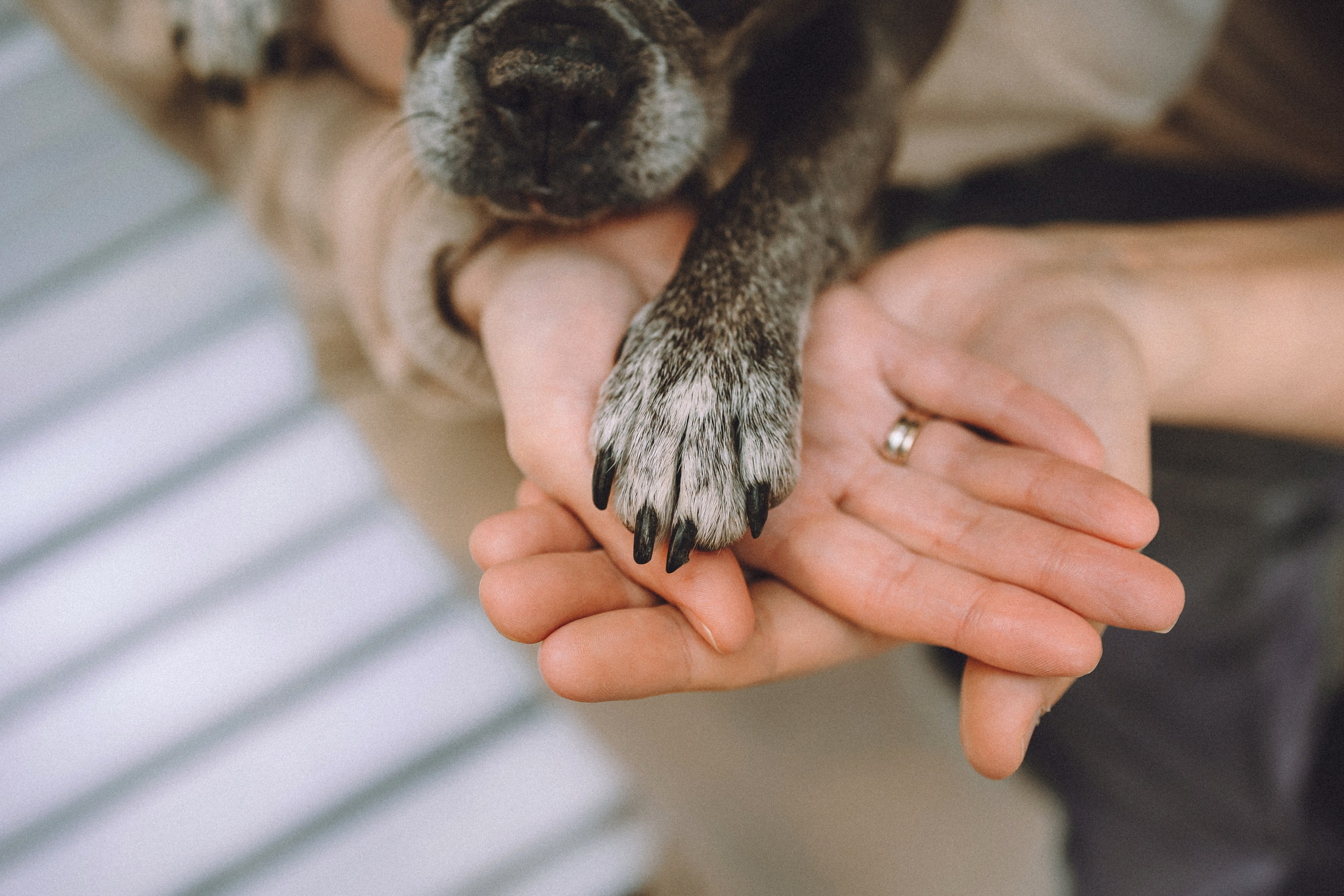 Юля, Вова и Моня