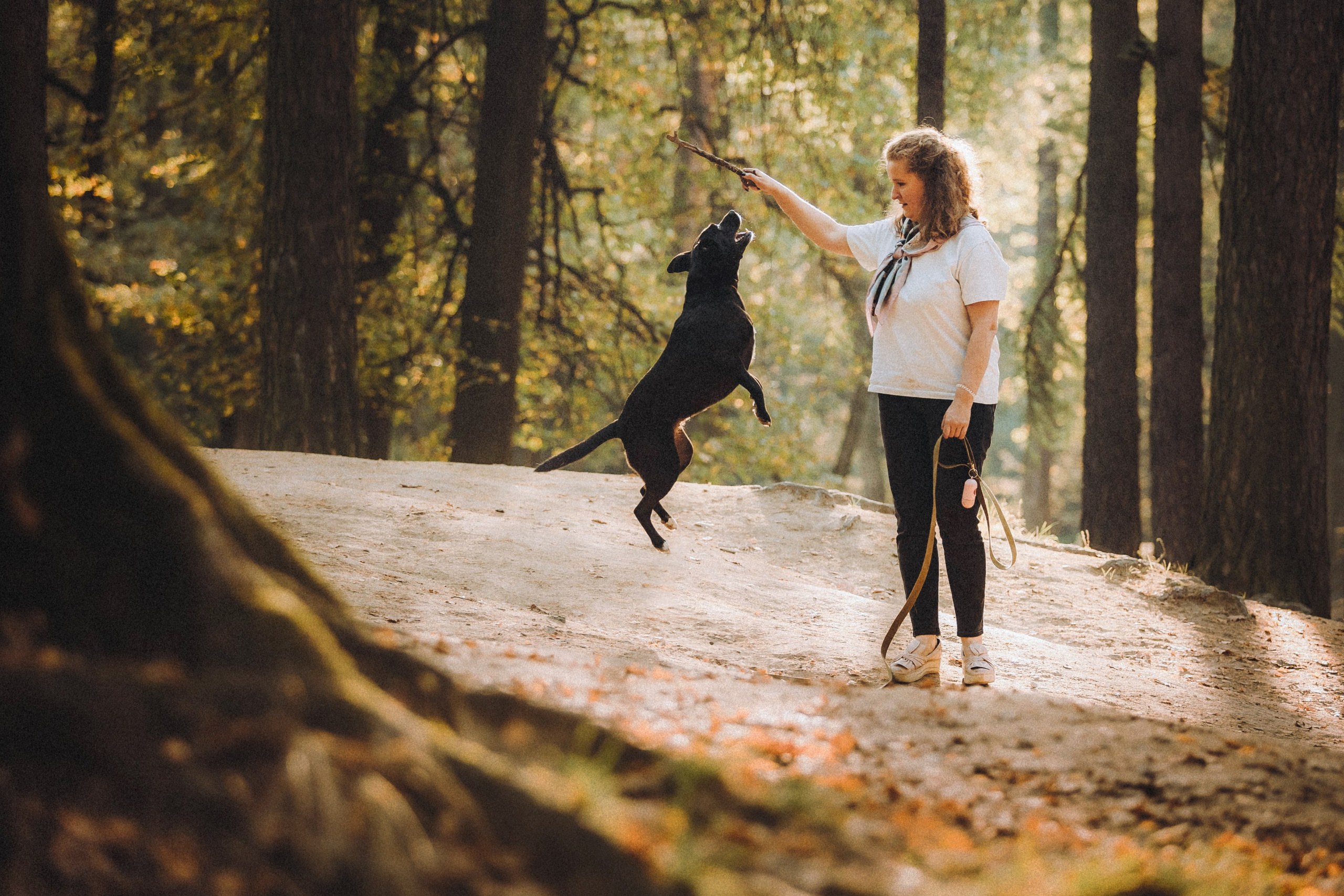 Ксюша, Ваня и Рамона