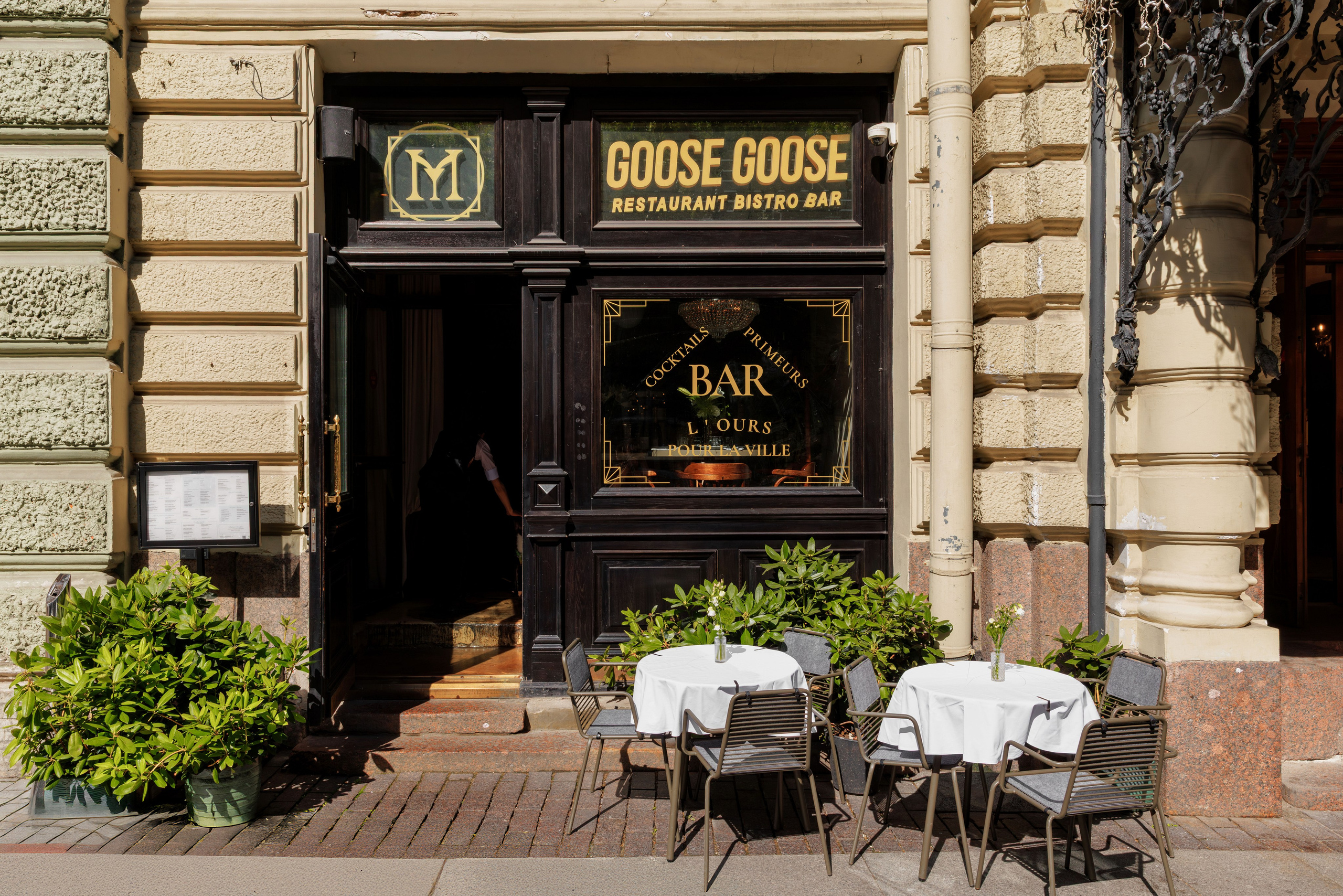 Медведь. Репортажный фотограф в Санкт-Петербурге Жолудев Владислав