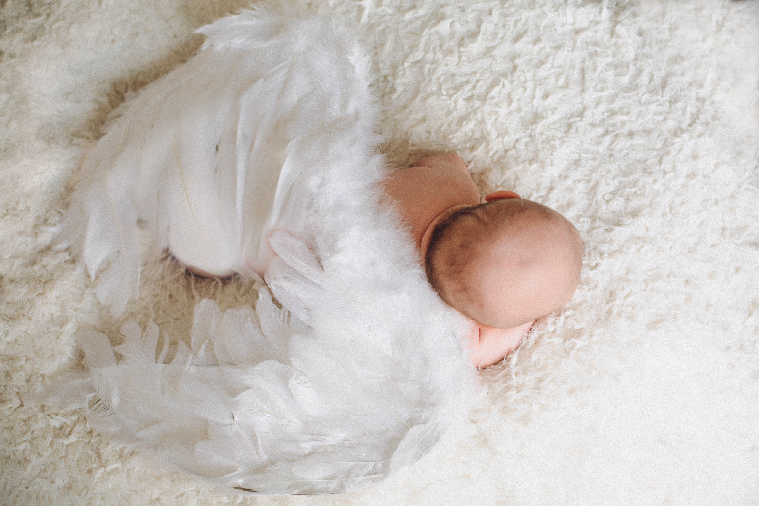 NEWBORN. Фотостудия SVET в Курске - Фотограф Светлана Кобелева