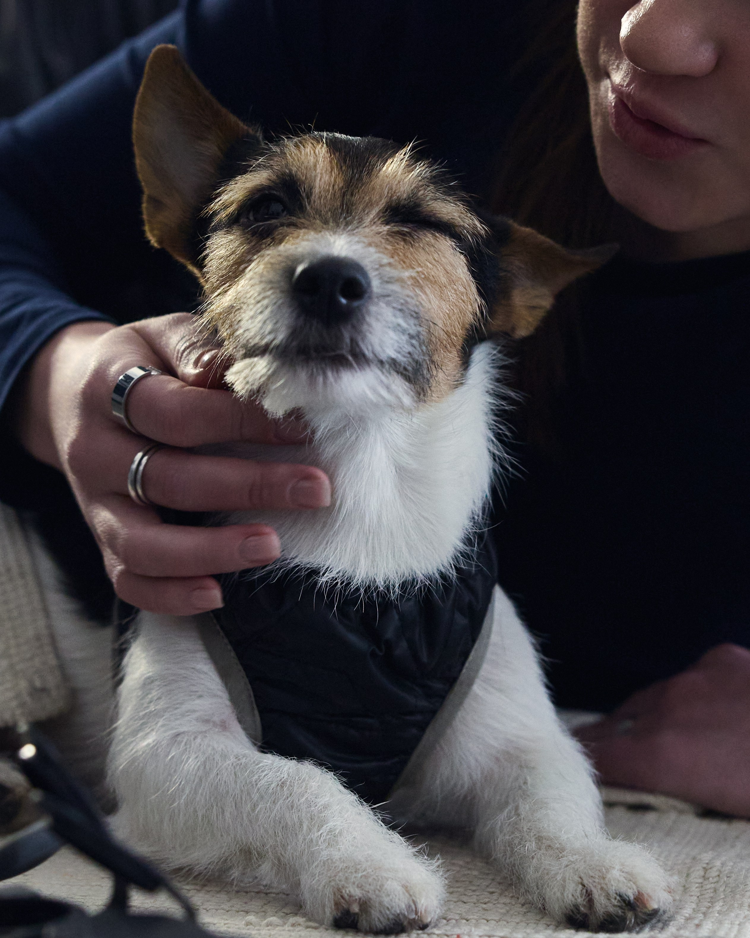 Репортаж. Главная