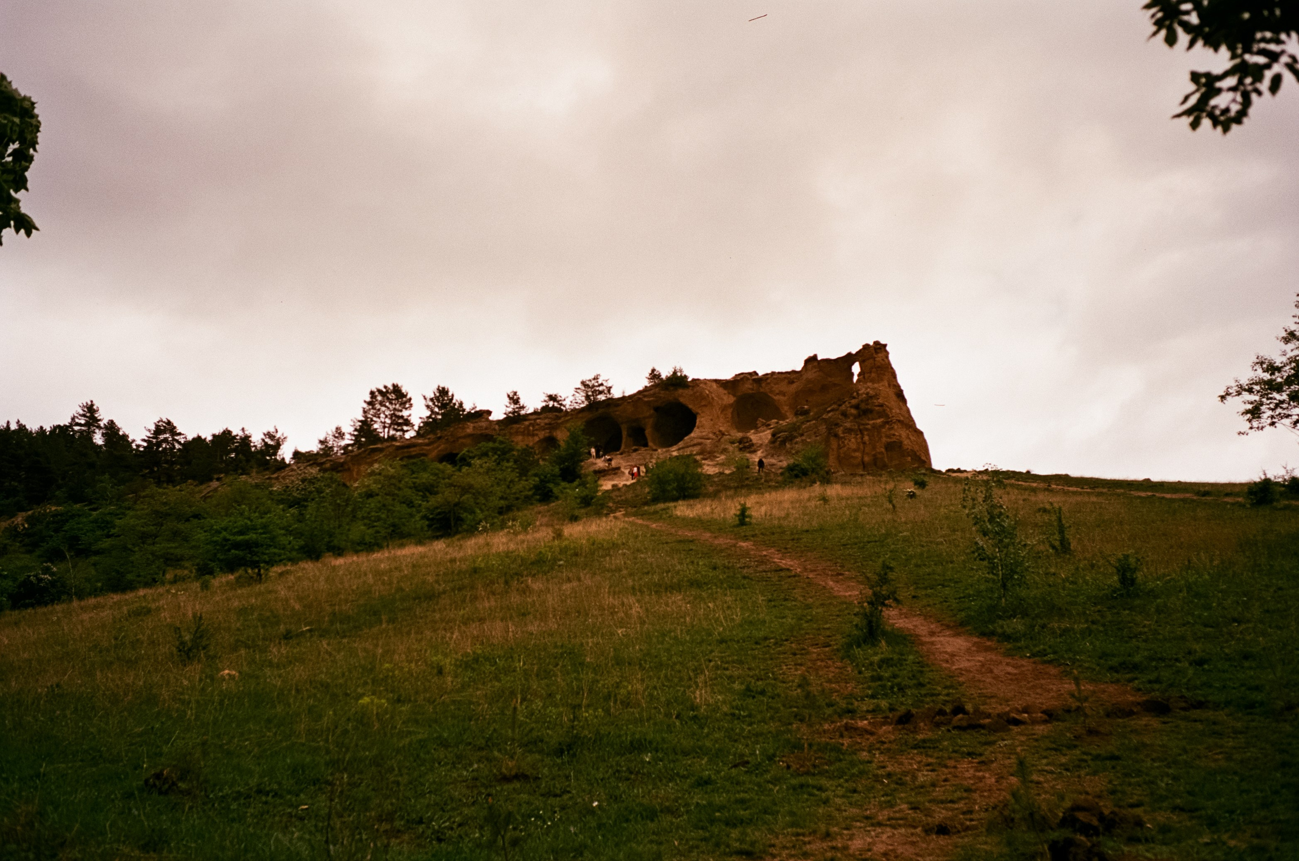 Кисловодск, дорога в сторону метеостанции, туман, лошади / Voigtlander