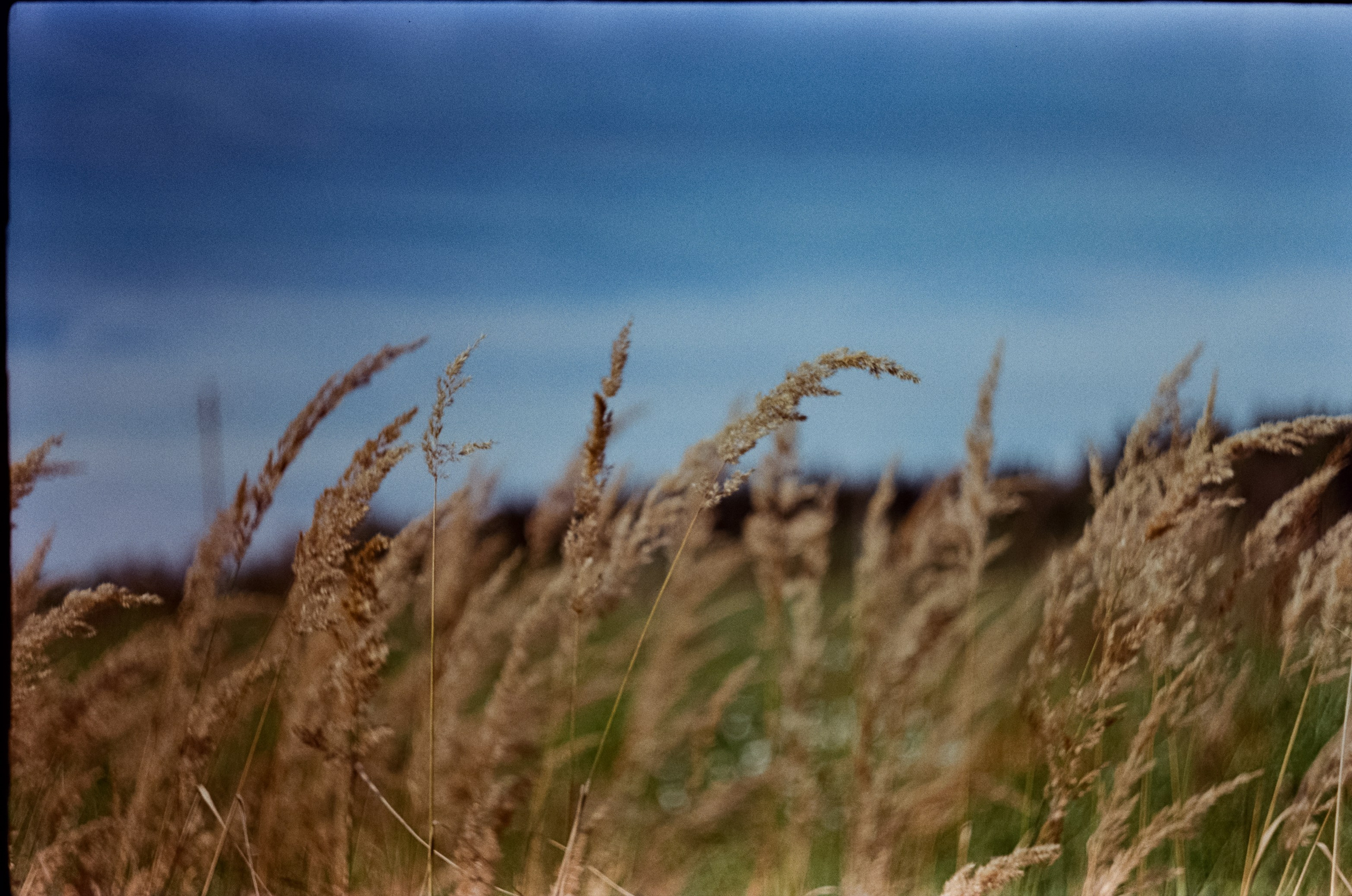 Edixa-MAT REFLEX Mod.D | Carl Zeiss Jena Biotar 58 mm f2 T | SFL 250D