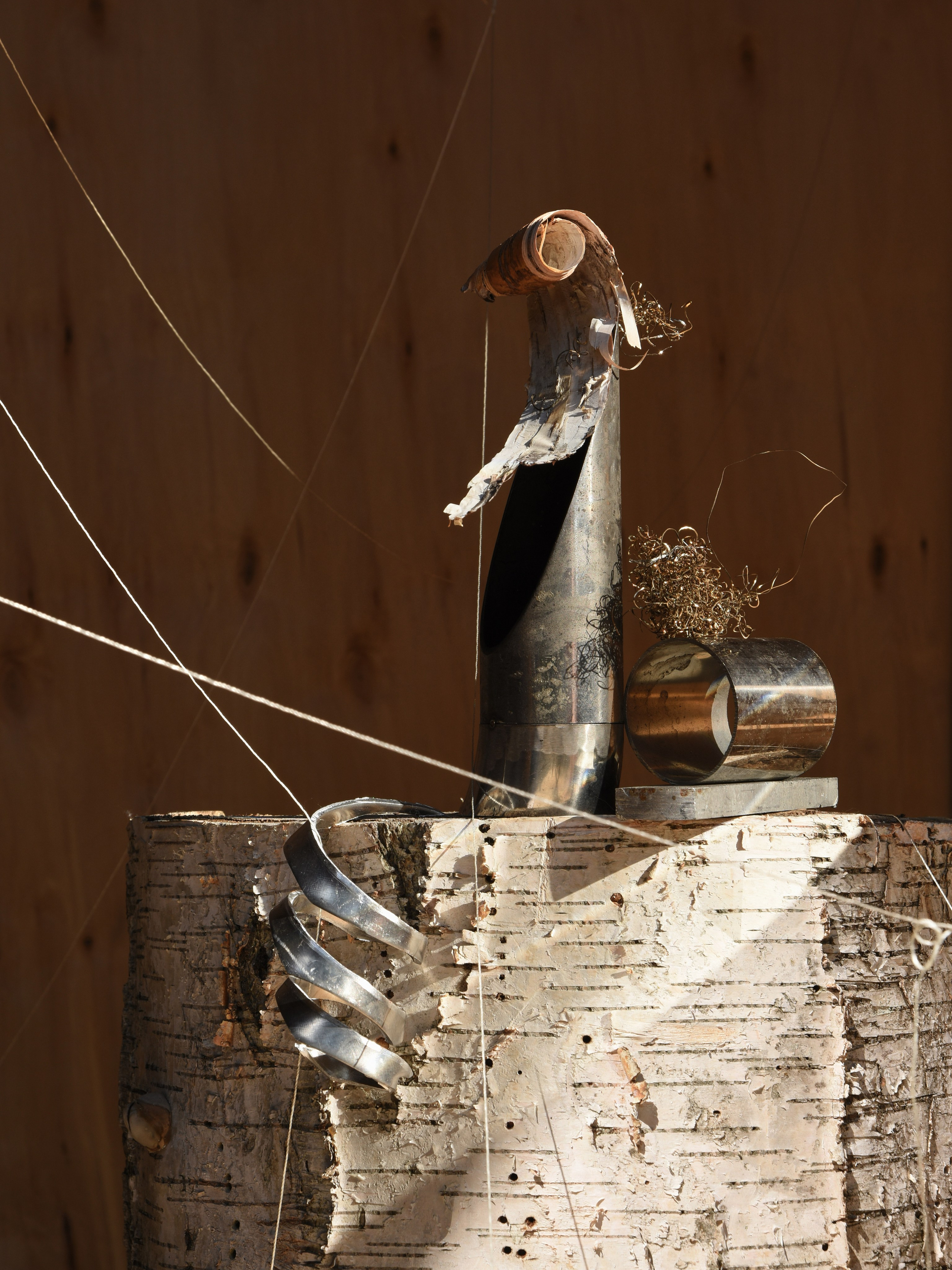 Личные проекты. Предметная фотография