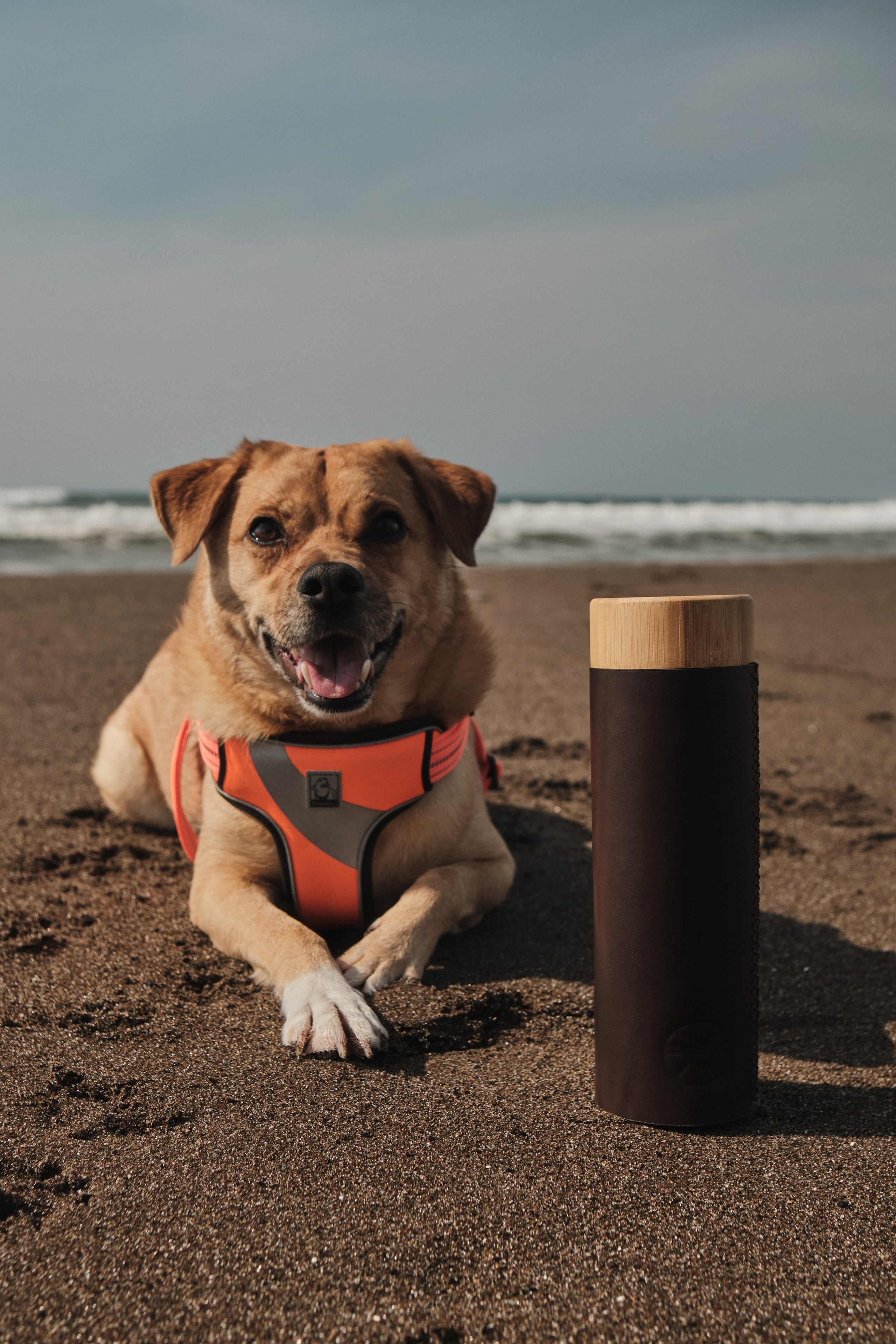 Чехлы для термосов. KIMESTHETICA