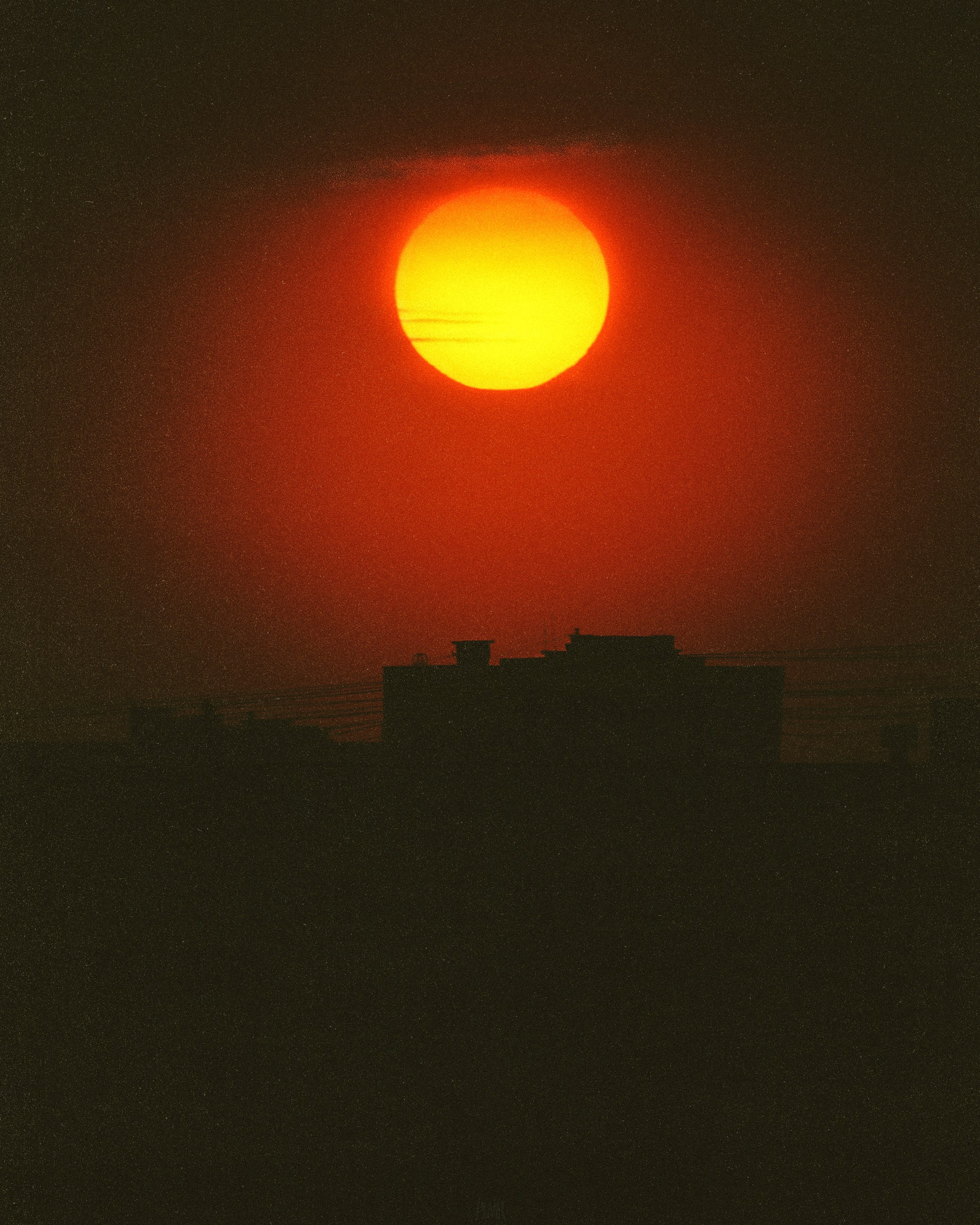 N a t u r e. Your photographer