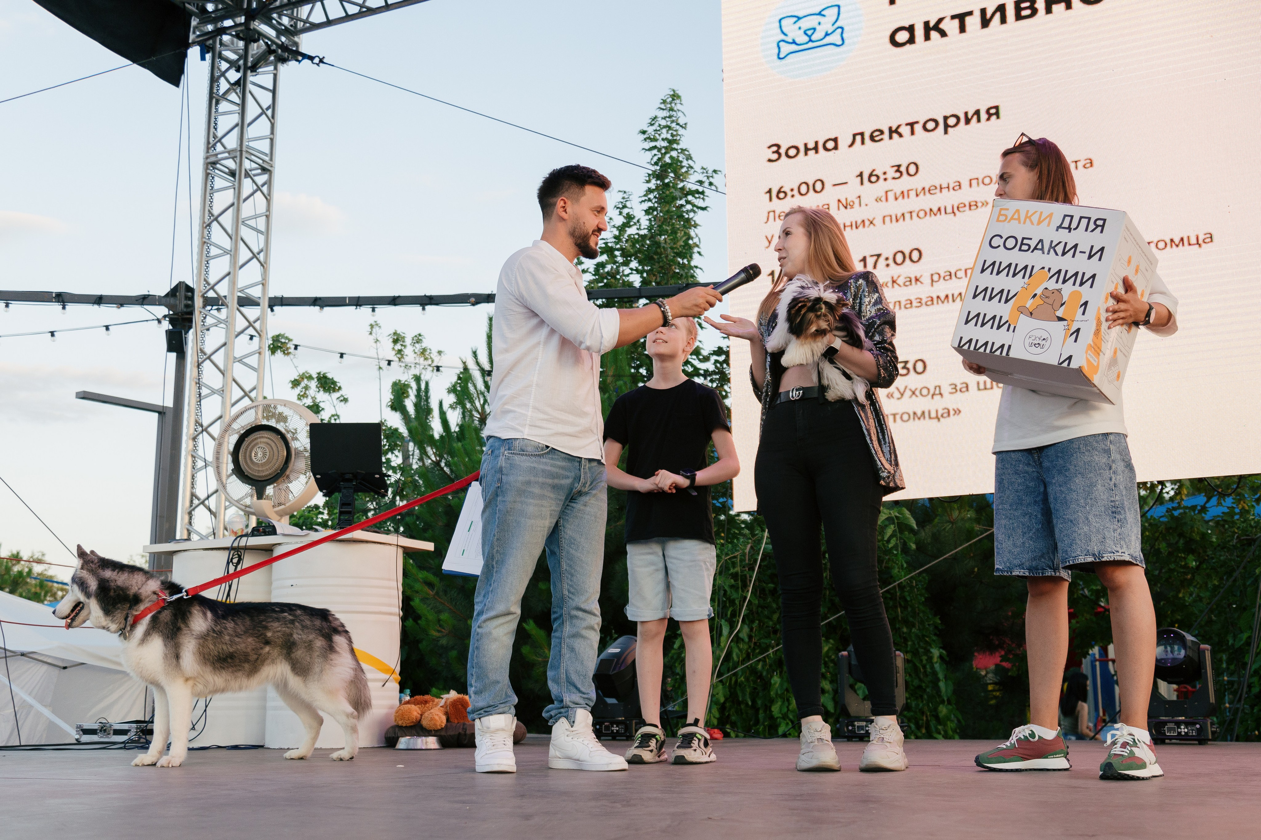 Dog Fest 2024. Главная
