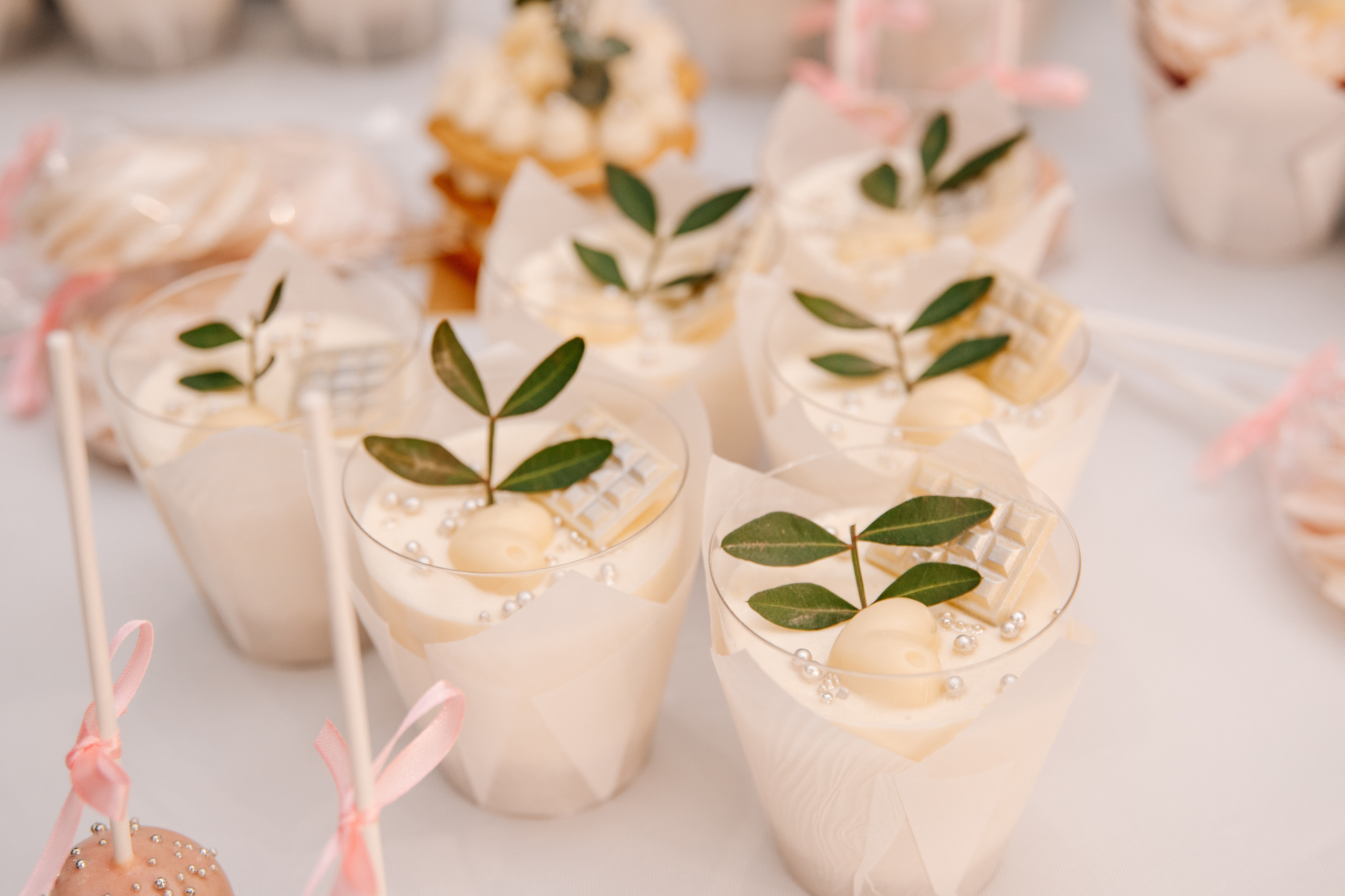 3.04.21. Свадебный Фотограф Уссурийск — Владивосток Мария Булавина