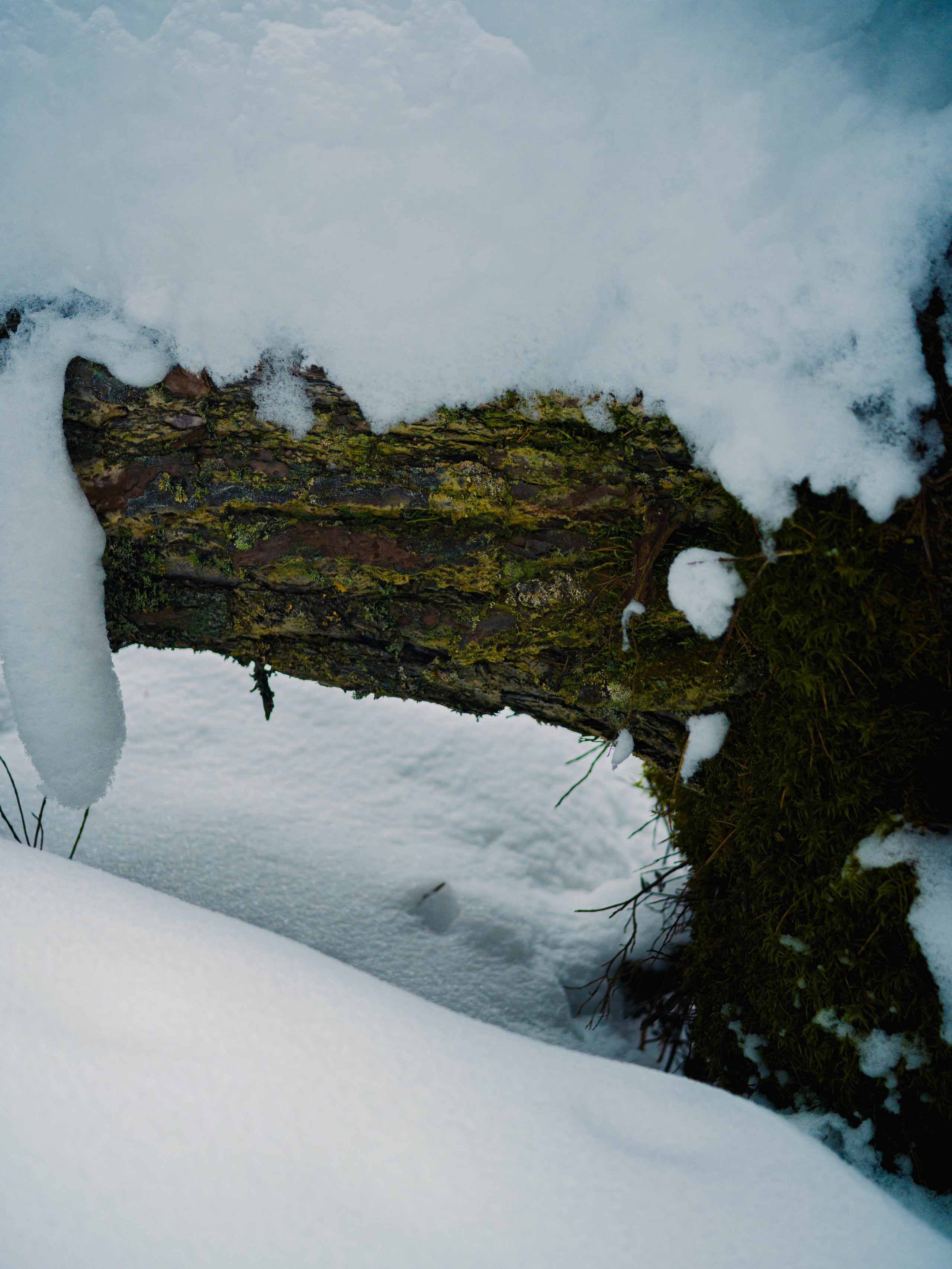 Skuratov Trail Run. Портретный и репортажный фотограф в Санкт-Петербурге Смоляков Максим