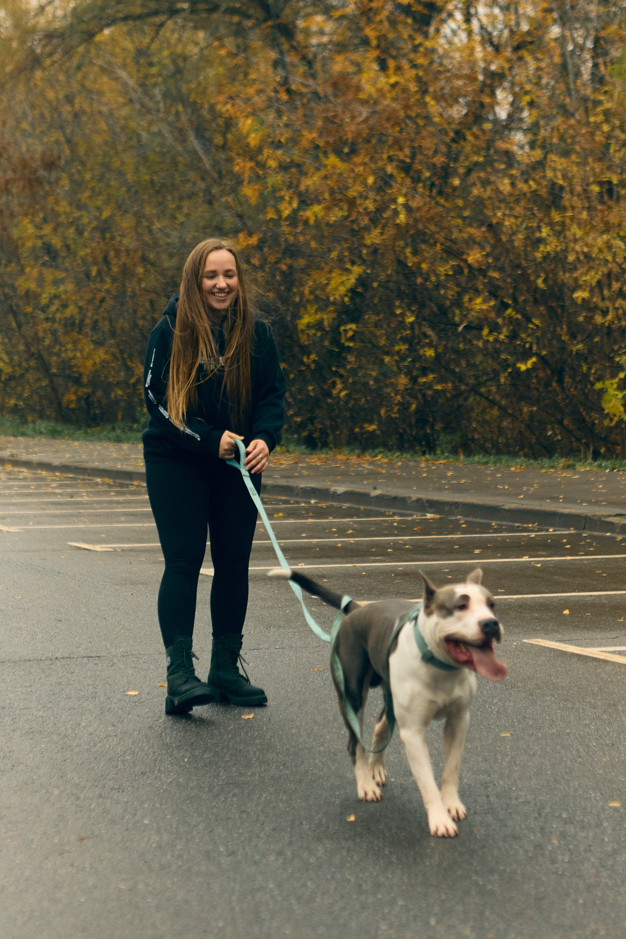 фотосессия с собакой на улице