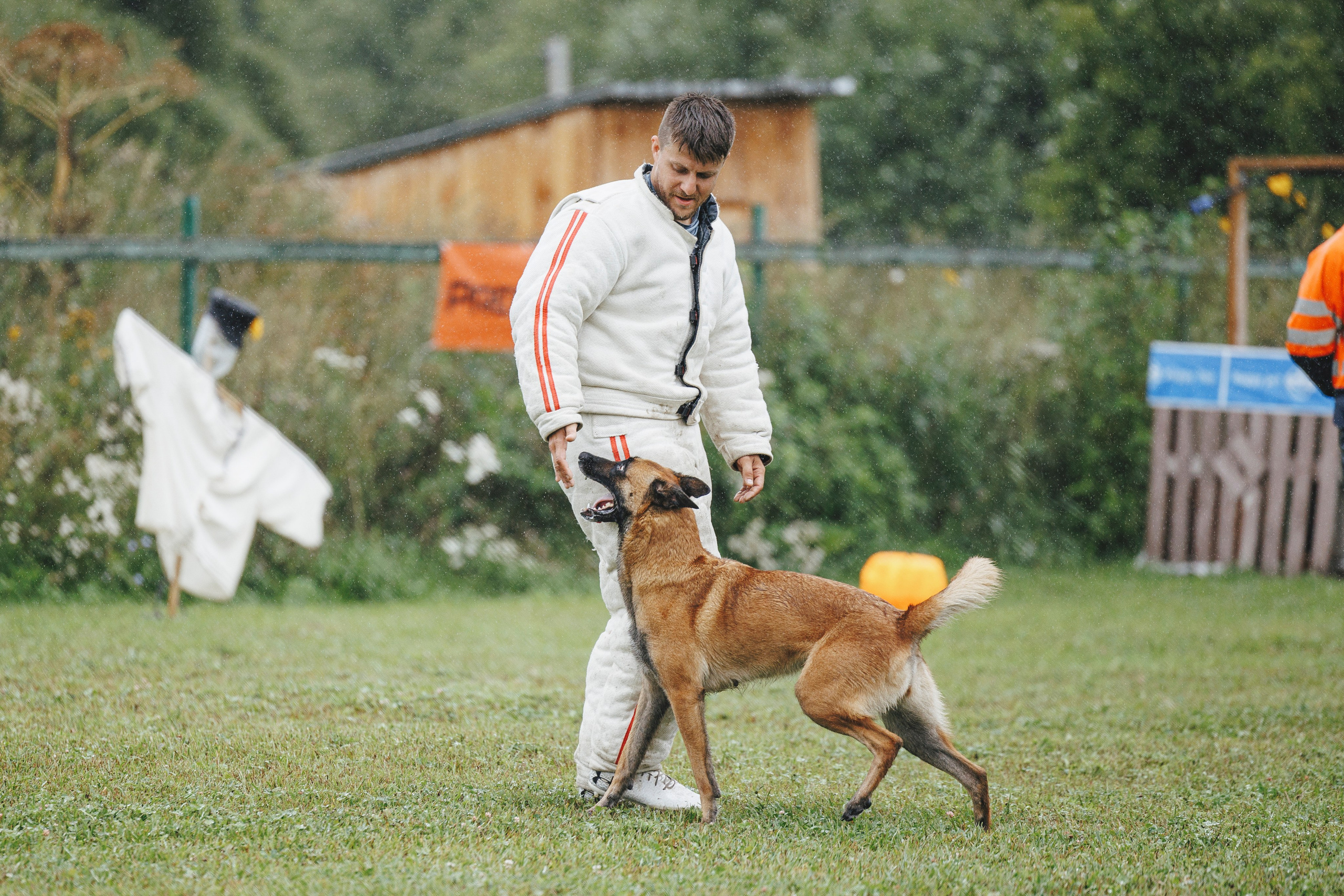 08.08.25-10.08.25 ЧР по мондьорингу г. Вологда. Фотограф-анималист Анна Маринич
