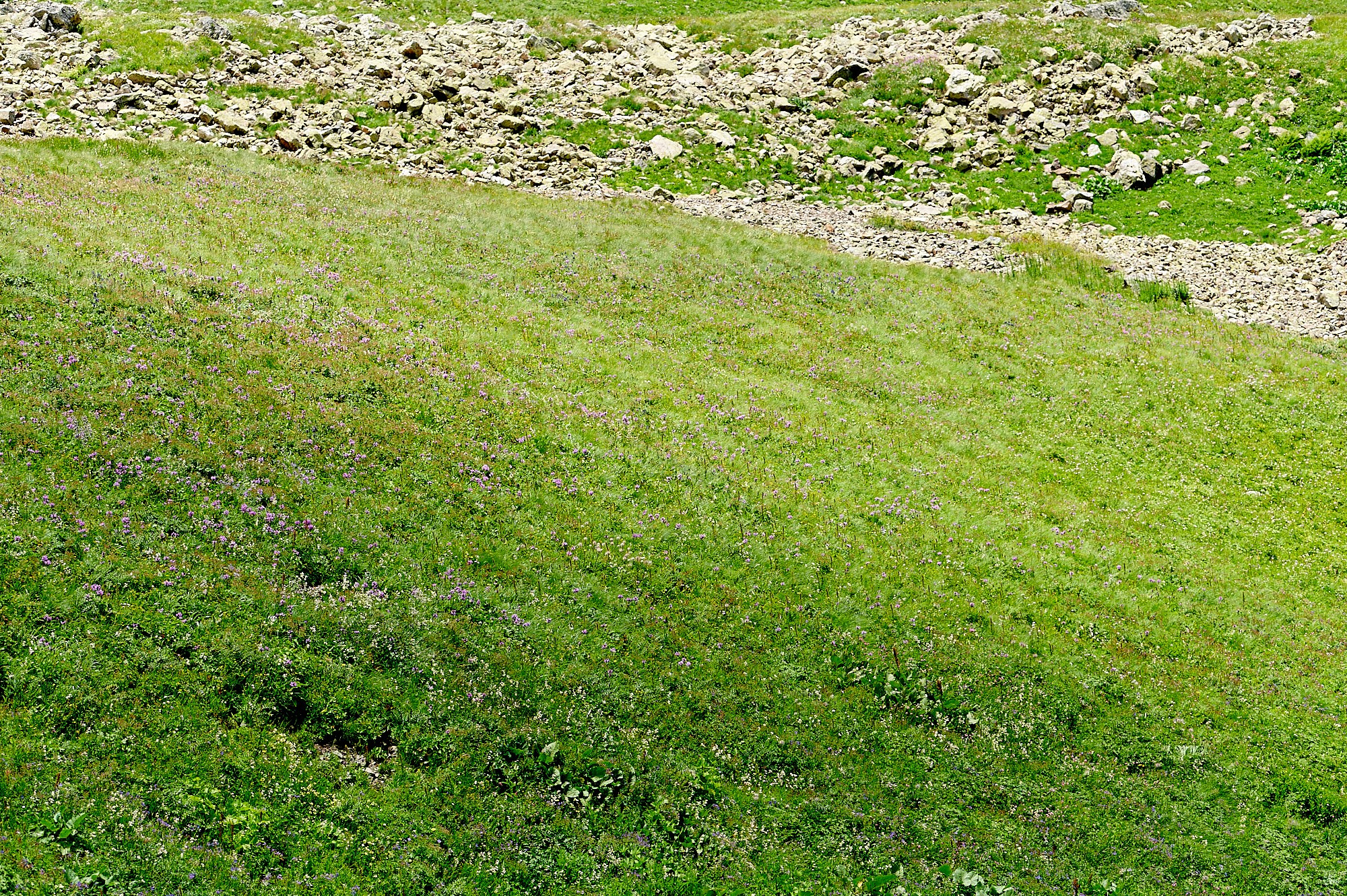 Домбай август 2024. Фотографии отовсюду и обо всем