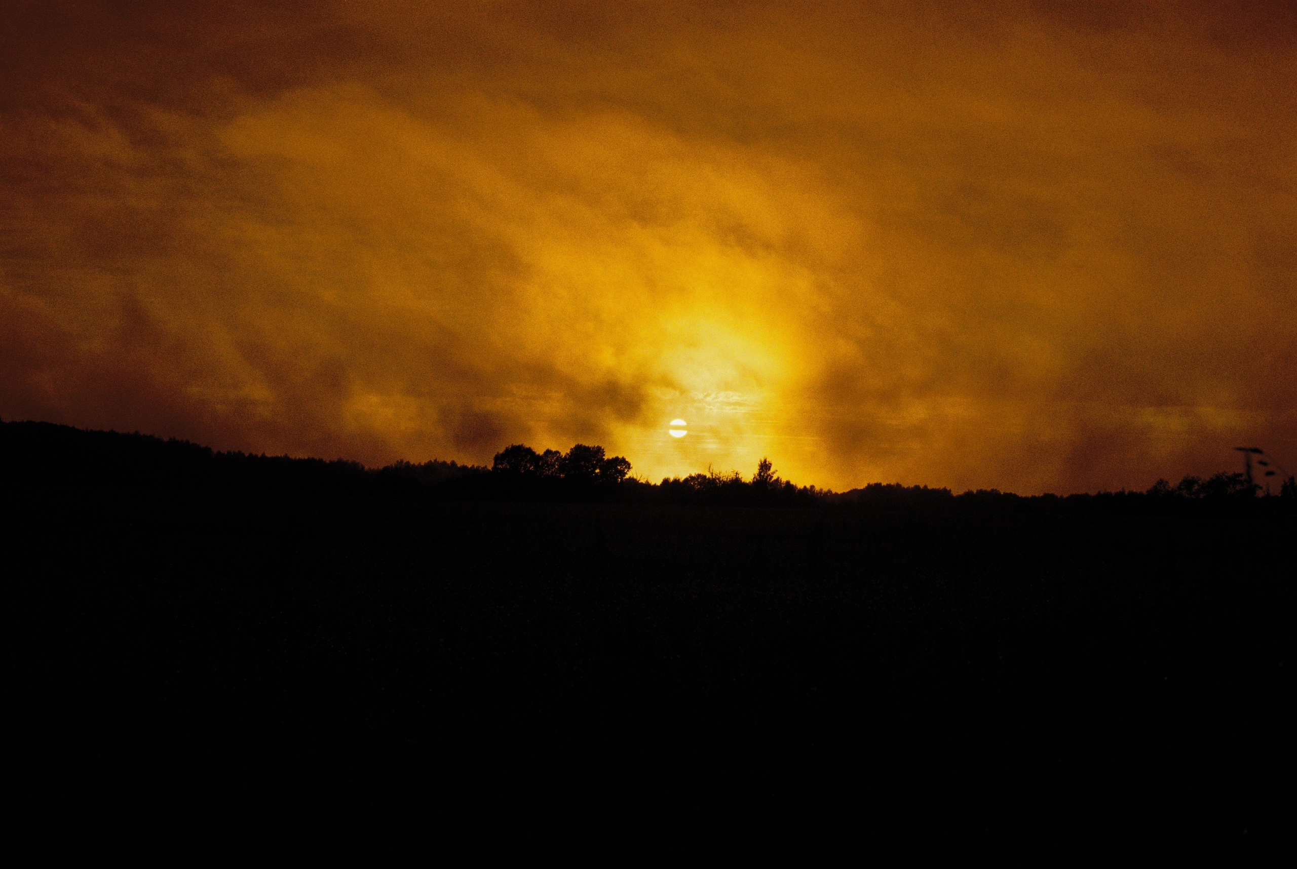 EXHIBITION. Репортажный и интерьерный фотограф, фотохудожник