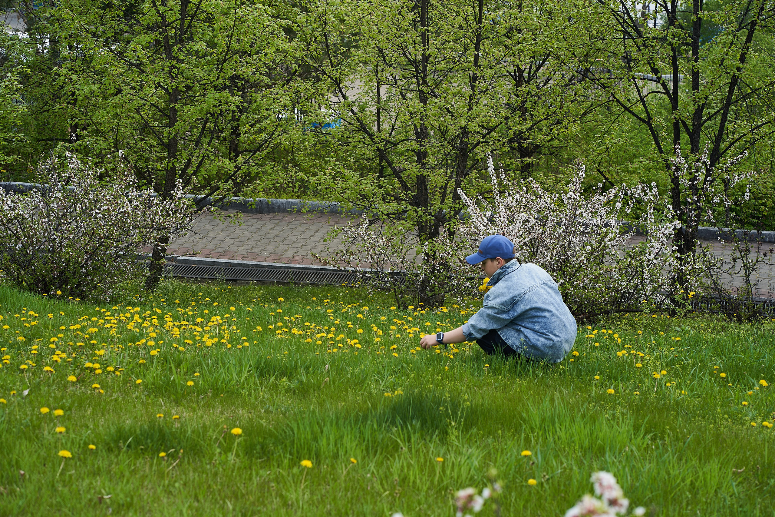 Прогулка в цветении. Анна Катасонова
