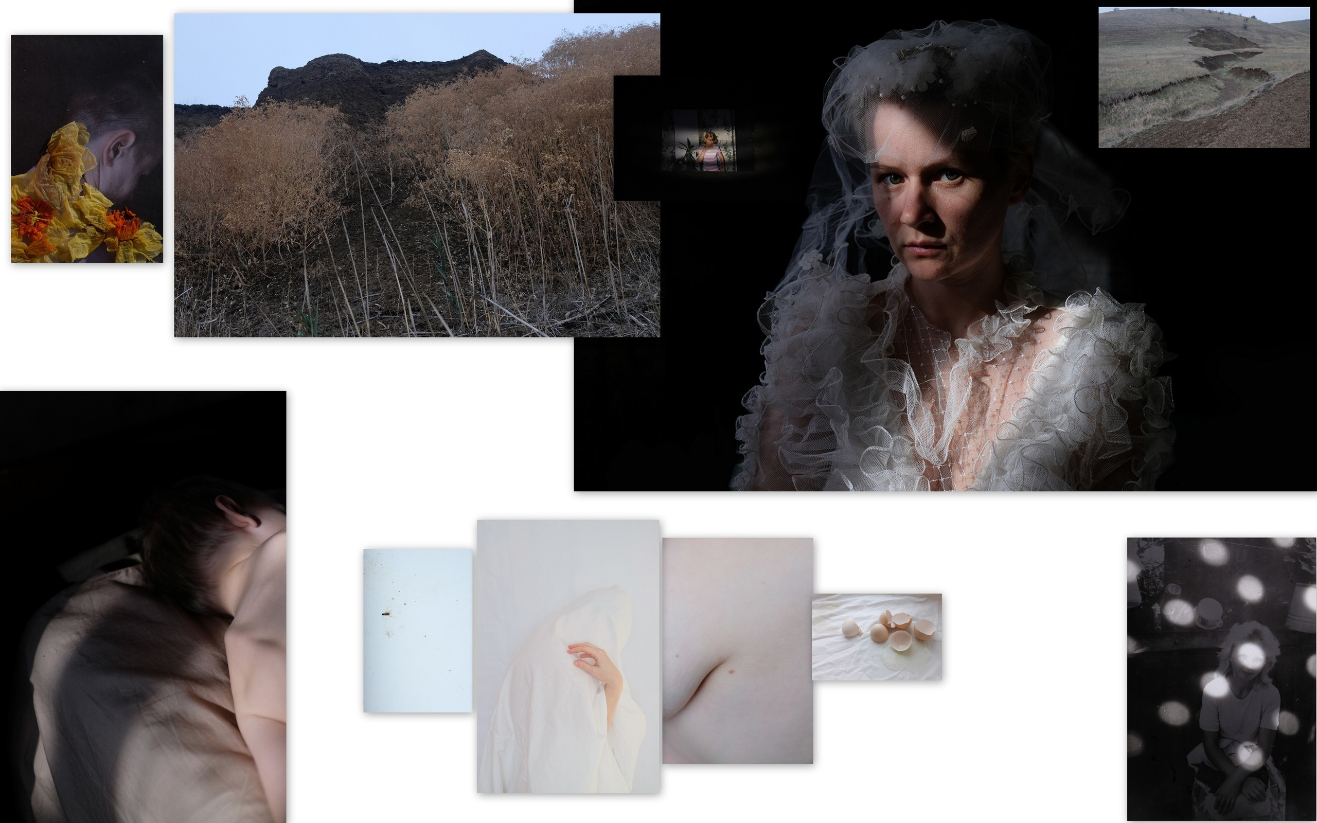 Наталья Тихомирова