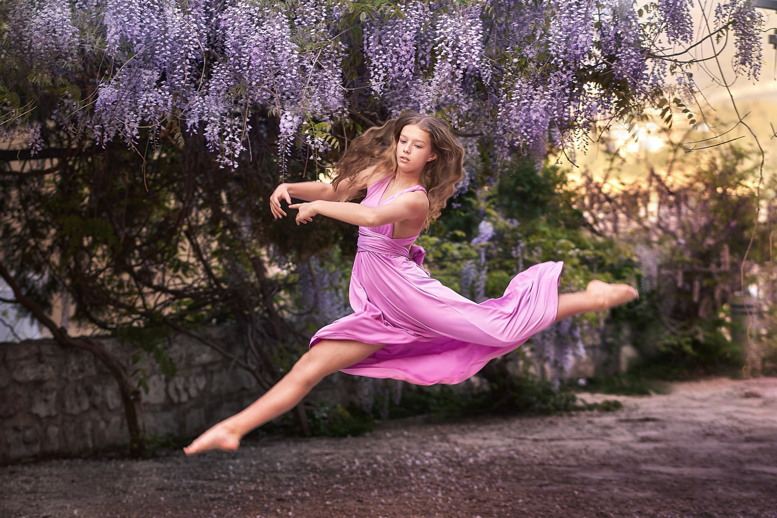 Цветущая глициния в старом городе, Будва