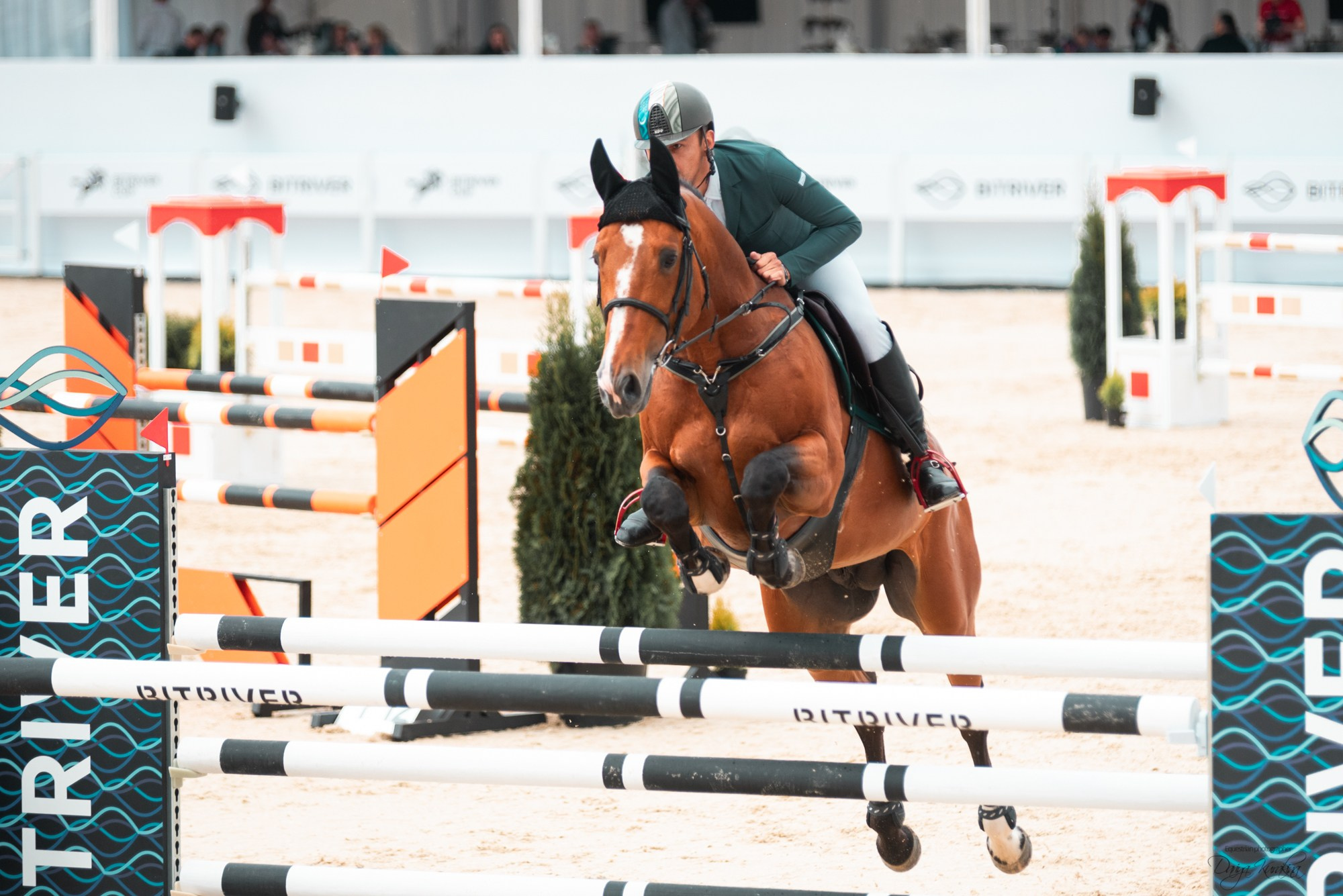 BITRIVER CUP 2023. Конный фотограф Куракина Дарья • Фотосессии с лошадьми