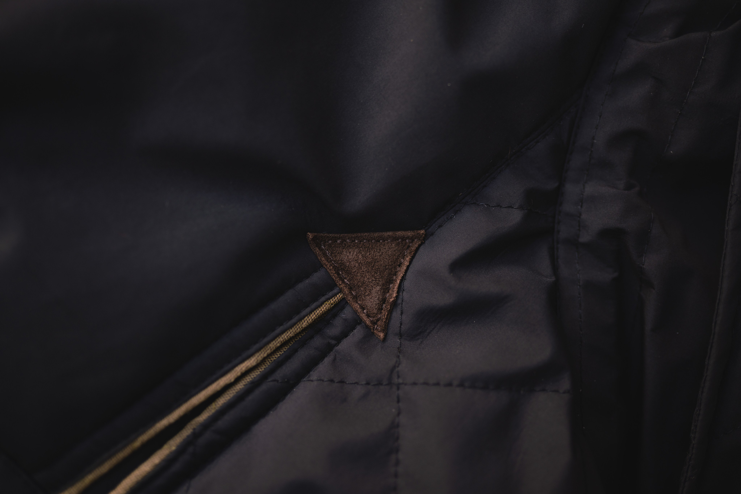 Одежда для собак Bravehound. Фотограф анималист Осипчикова Мария