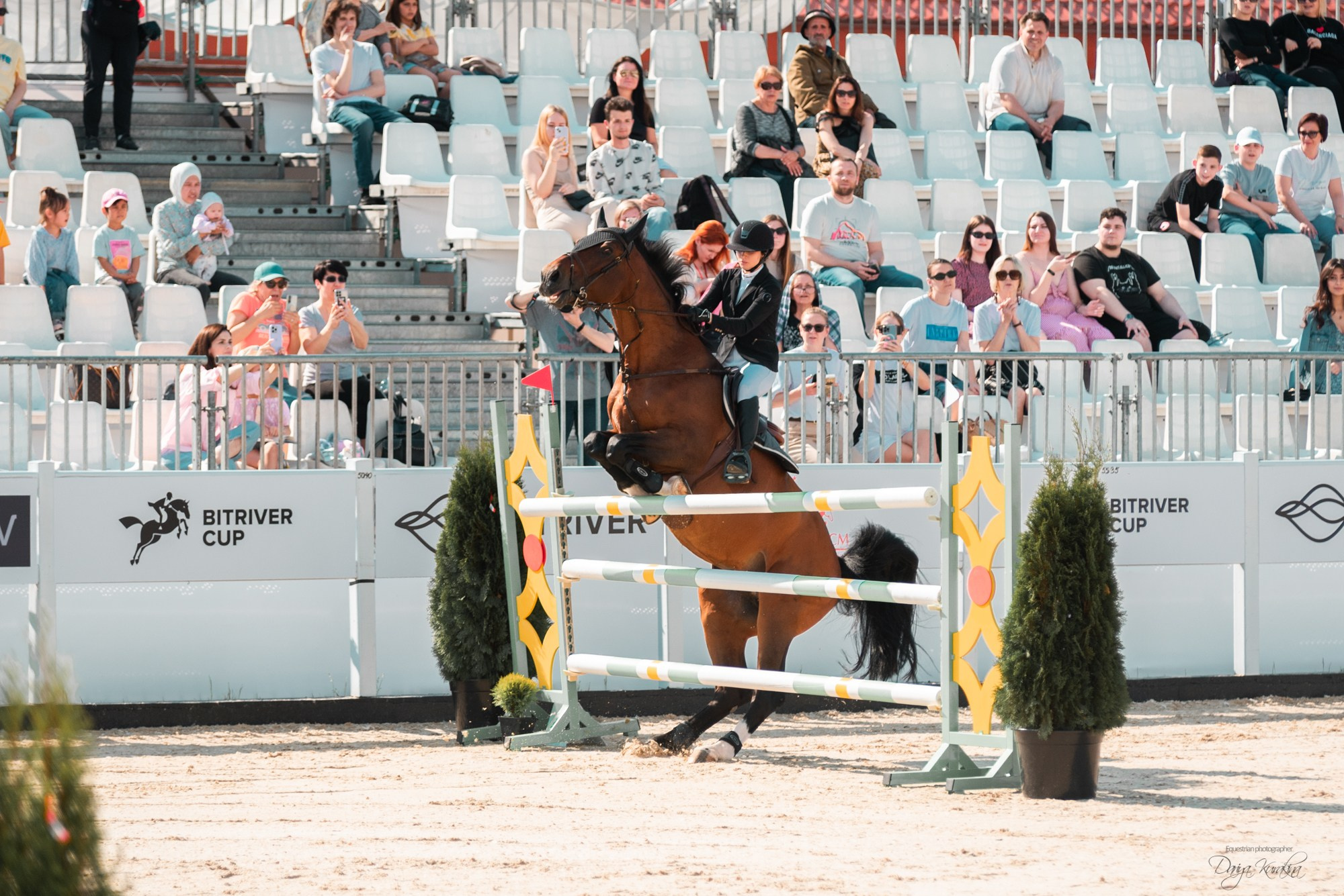 BITRIVER CUP 2023. Конный фотограф Куракина Дарья • Фотосессии с лошадьми