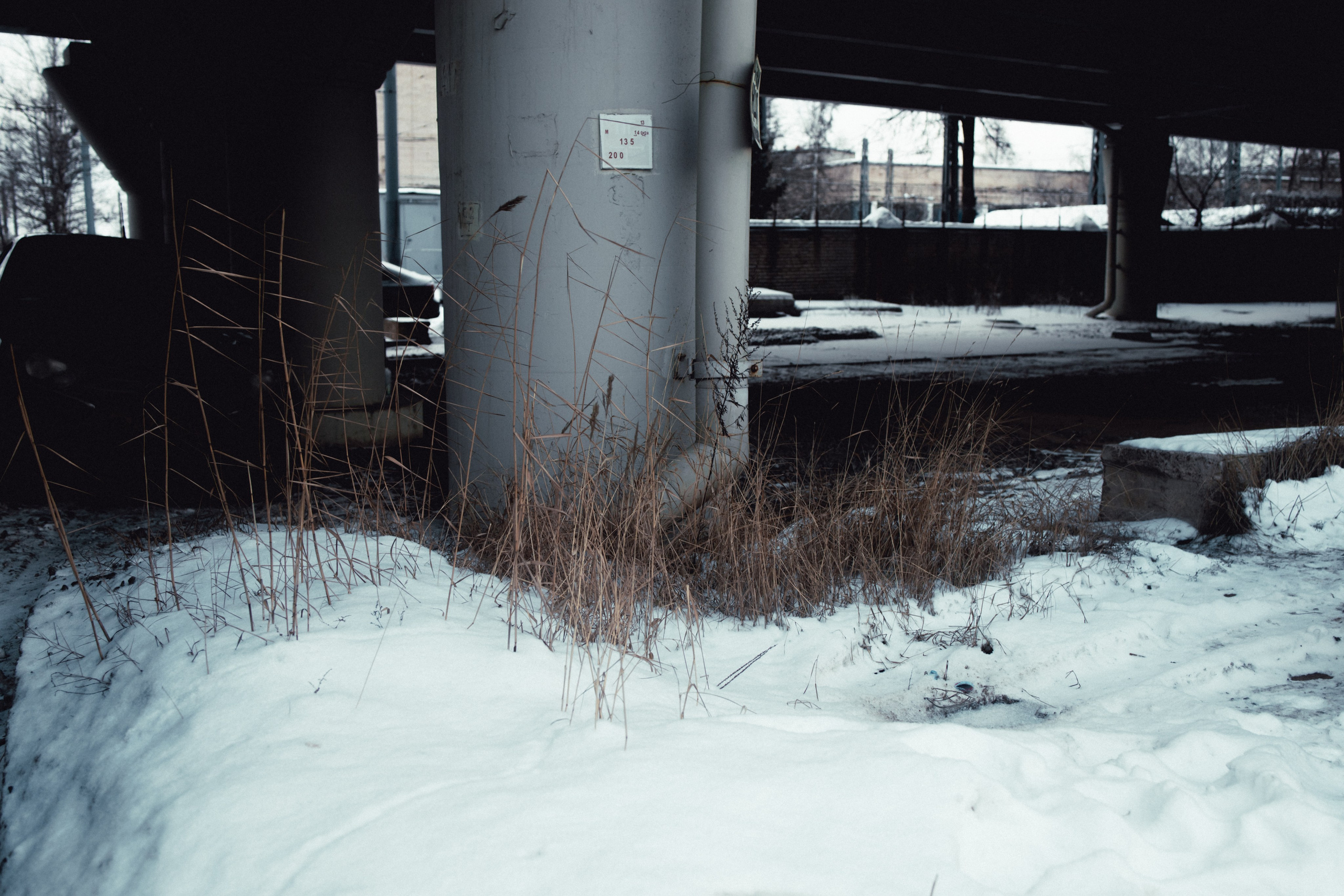 Маршрут ветеранов — электросила. Анна Мильч