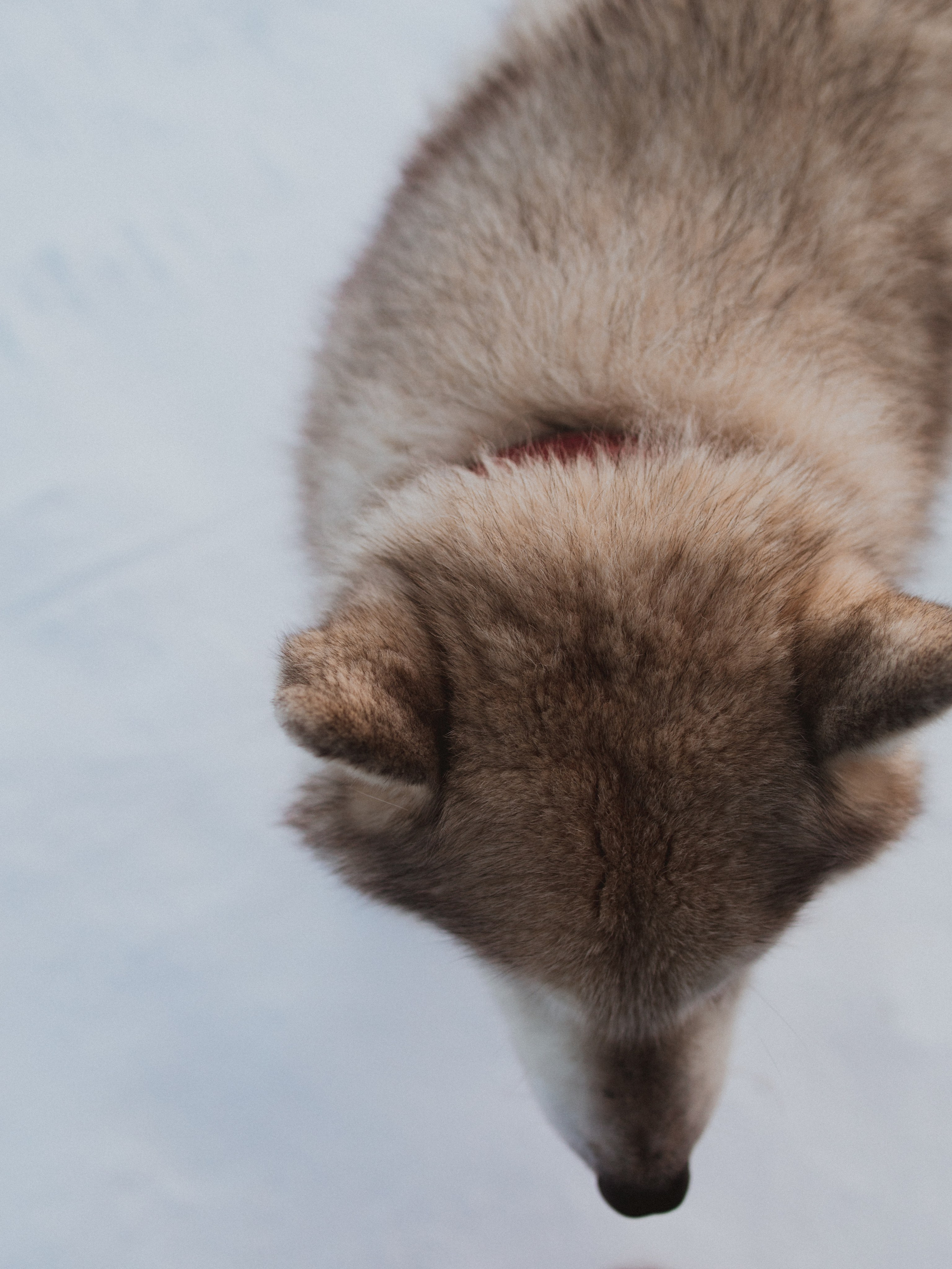 Териберка. Анна Мильч