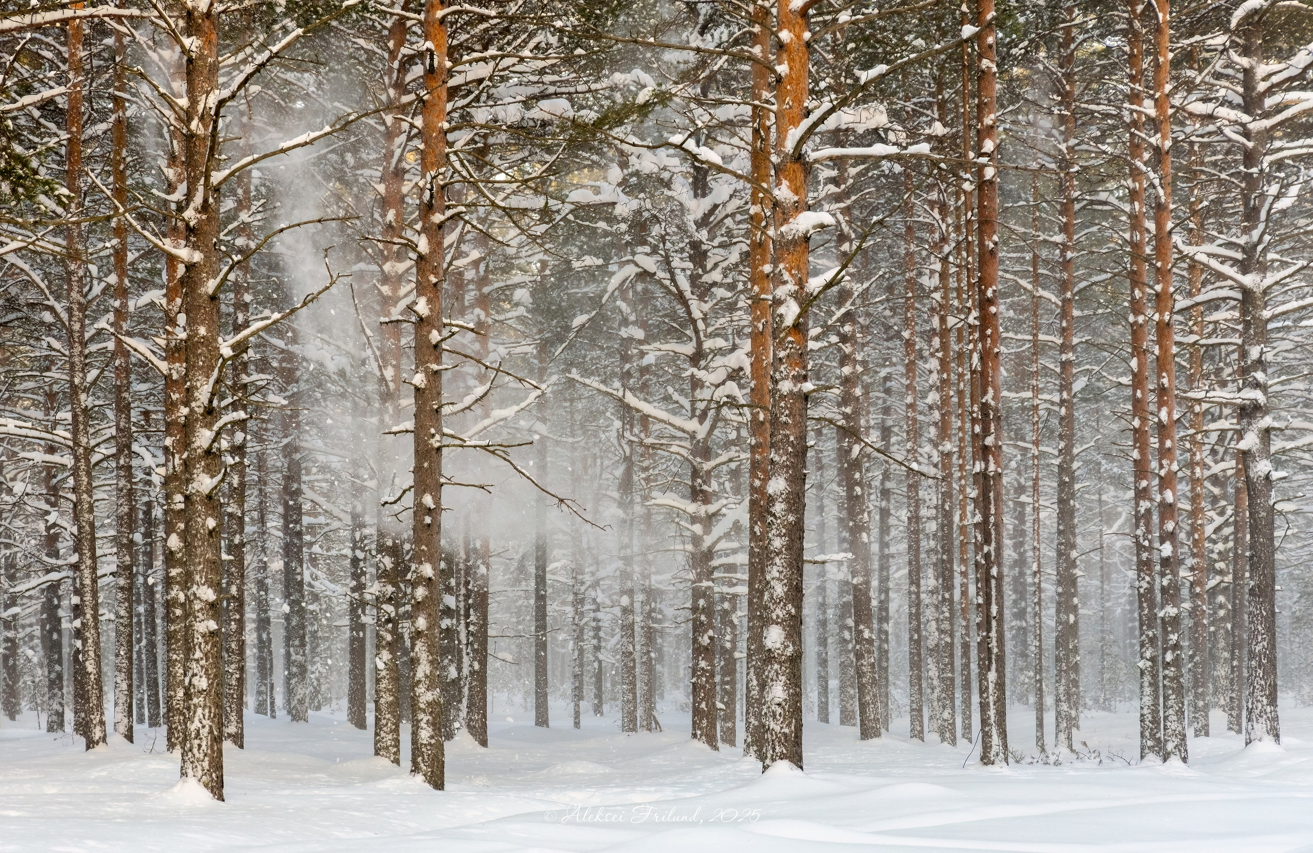 Природа Карелии. Аэросъемка. Фото и Видео в Карелии. Алексей Фрилунд