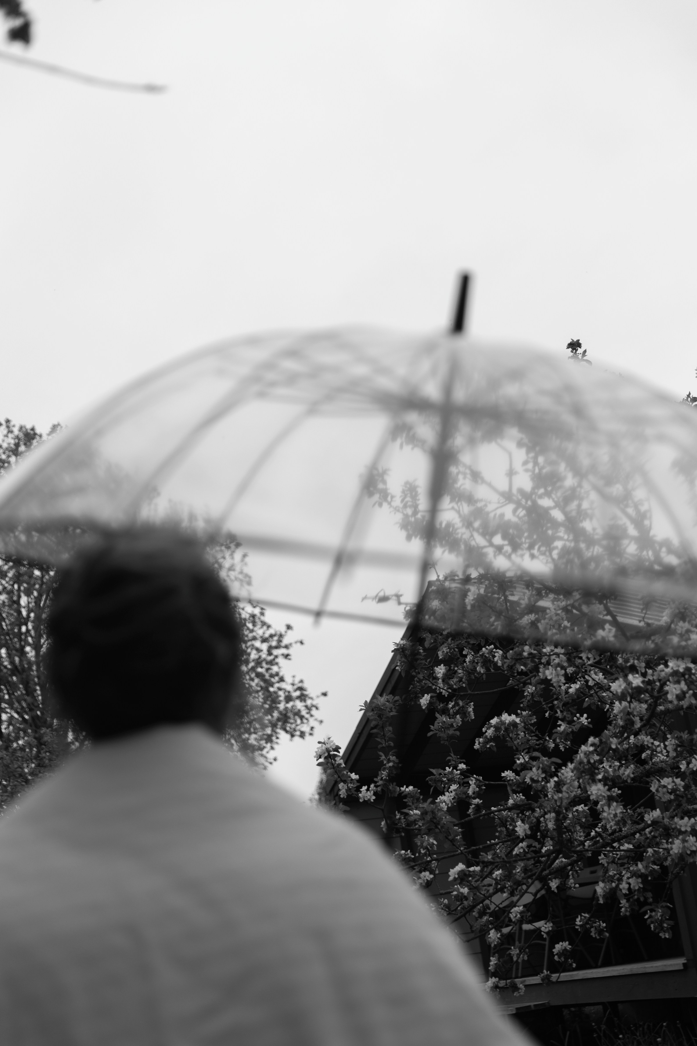Ольга и Сергей. Свадебный и портретный фотограф в Москве и Санкт-Петербурге