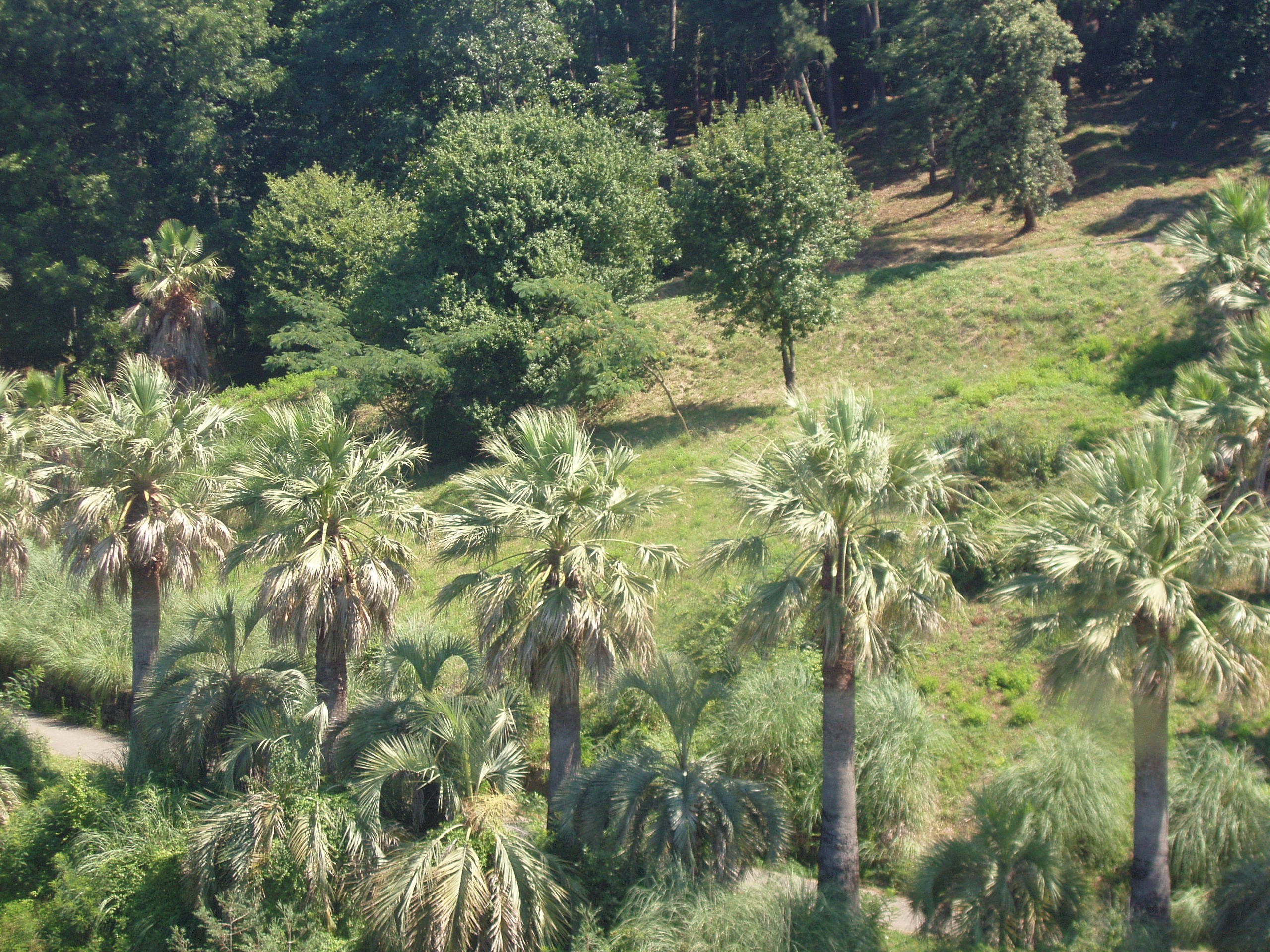 Отпуск 13.07-24.08. Семейный, Свадебный фотограф СПБ Питер— Романова Екатерина