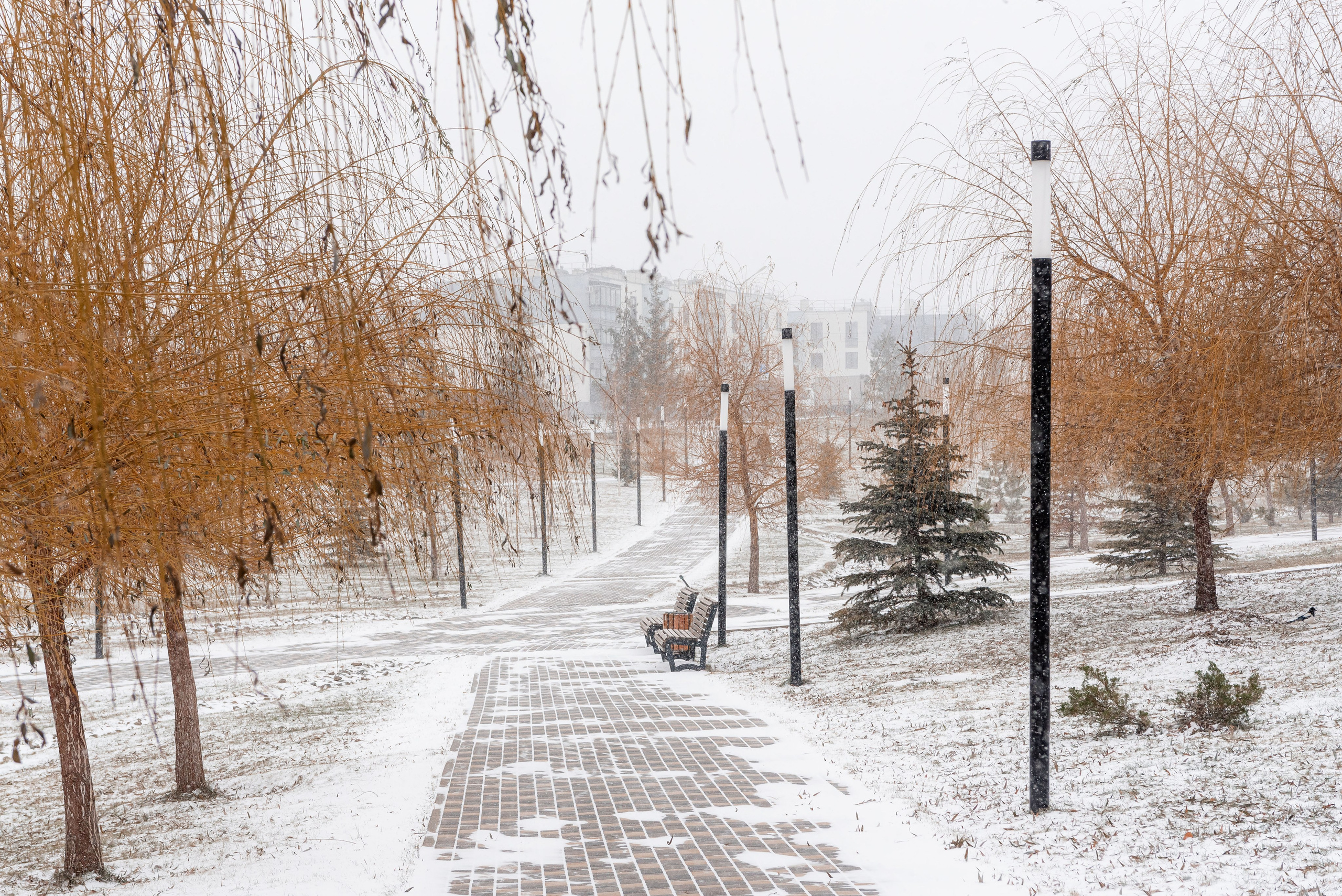 Зимняя съёмка улиц Родниковой Долины. Фотограф в Волгограде и Волжском Александр Горбань
