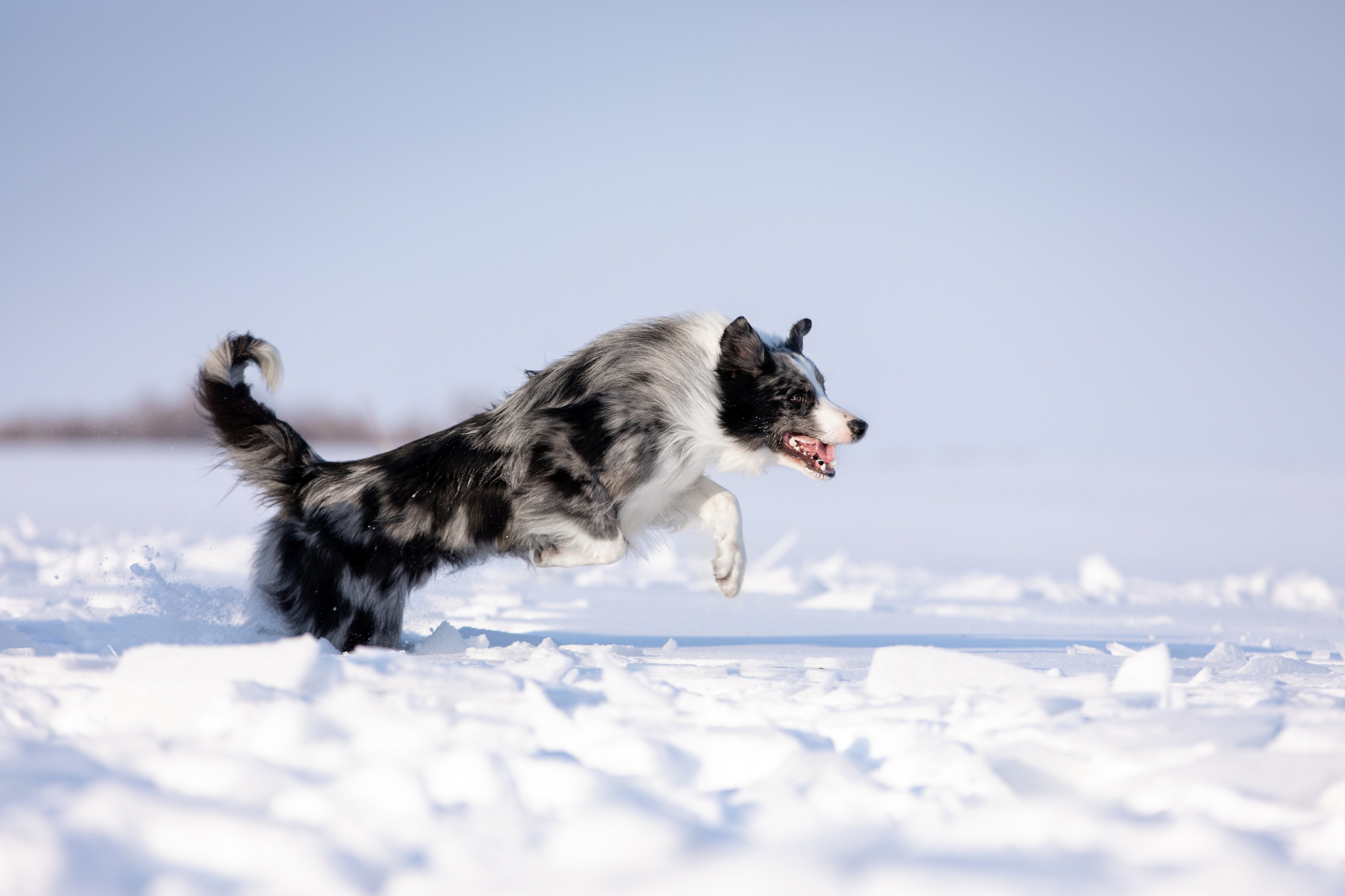 Мороз и солнце. О нас