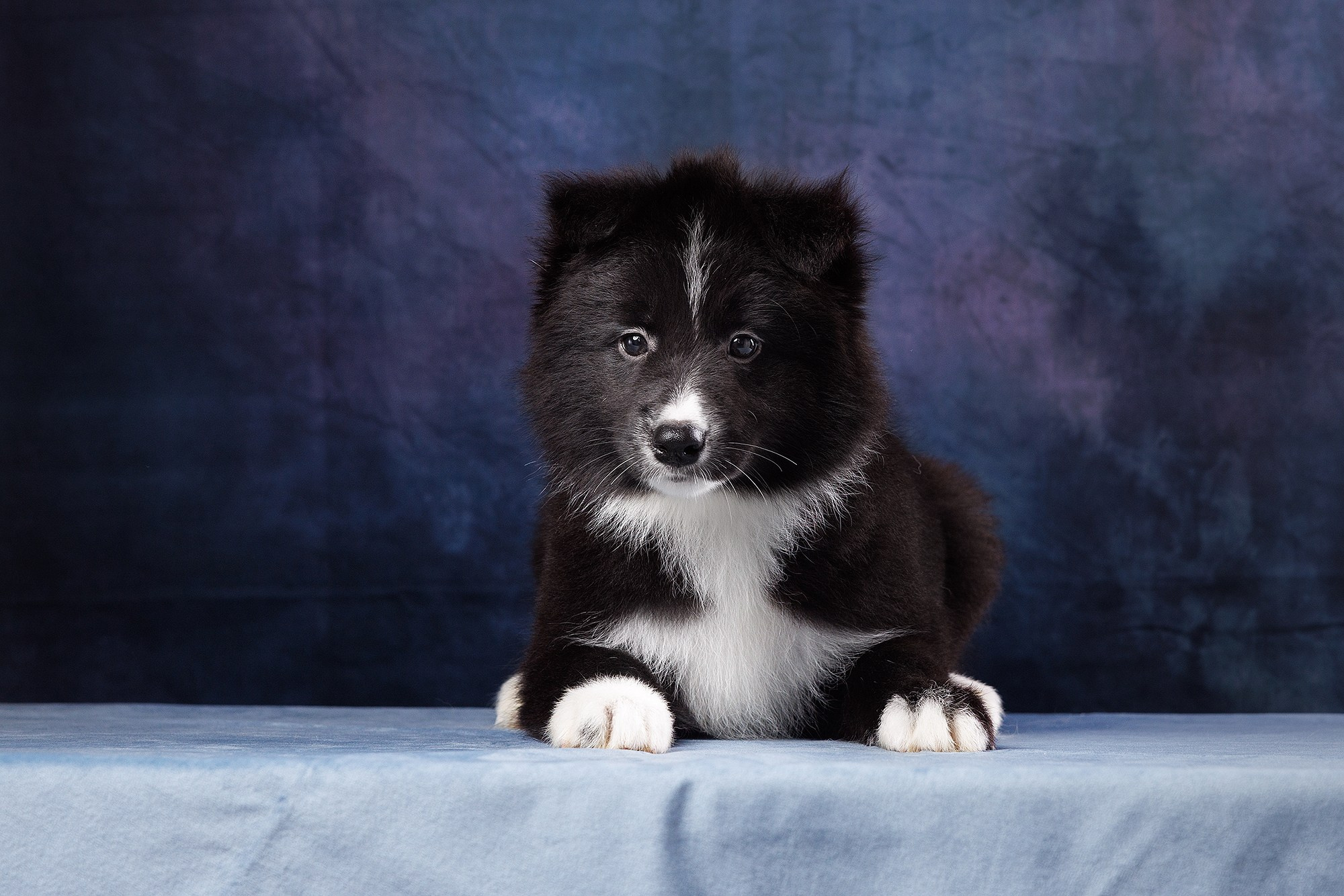 На водной основе. О нас