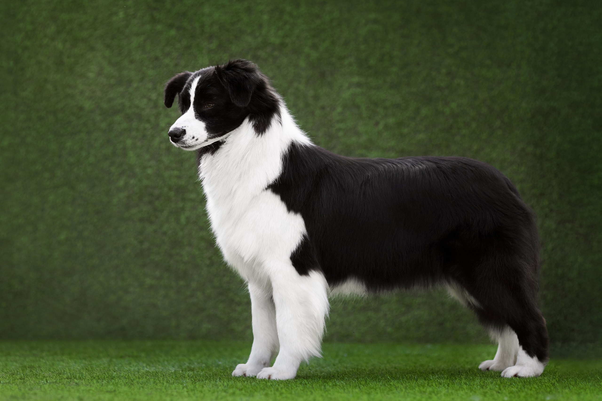 Роскошь в ростошах. О нас