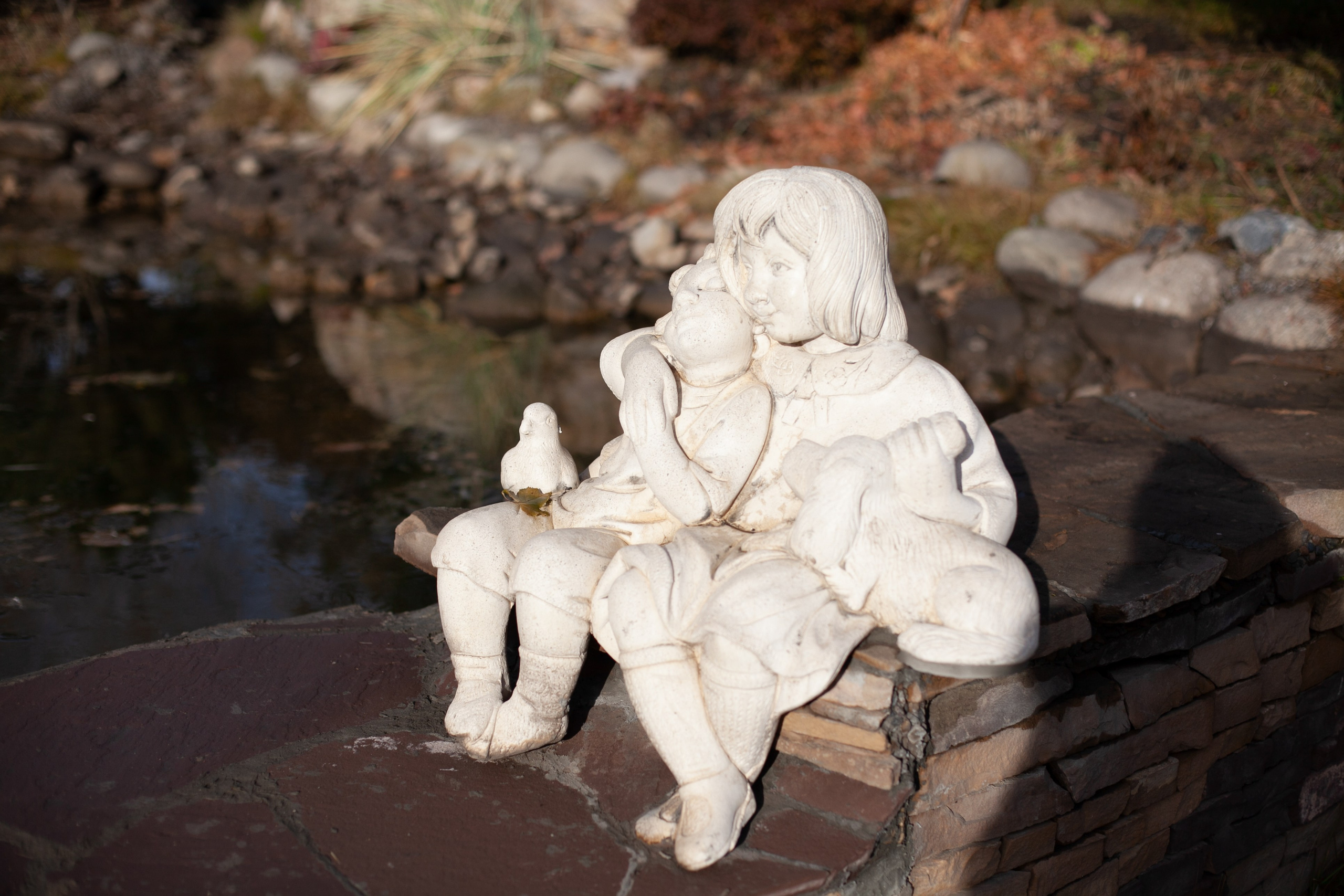 Сады Мечты. Контент для сайта. Фотограф Дарья Локотко в Красноярске