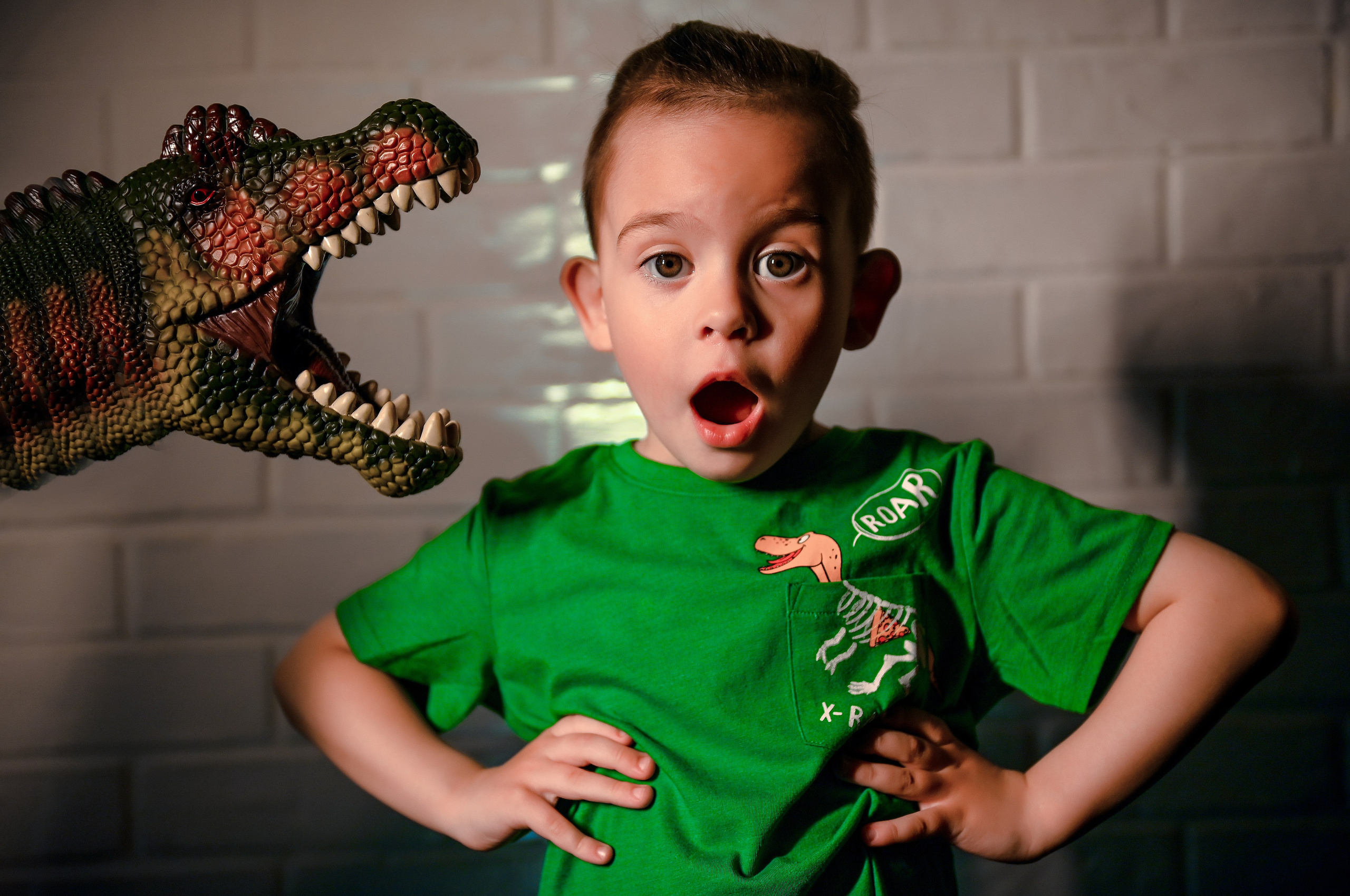 Детская с Динозаврами на 5 лет. Свадебный, семейный, детский, контент фотограф в Омске Максим Ильин