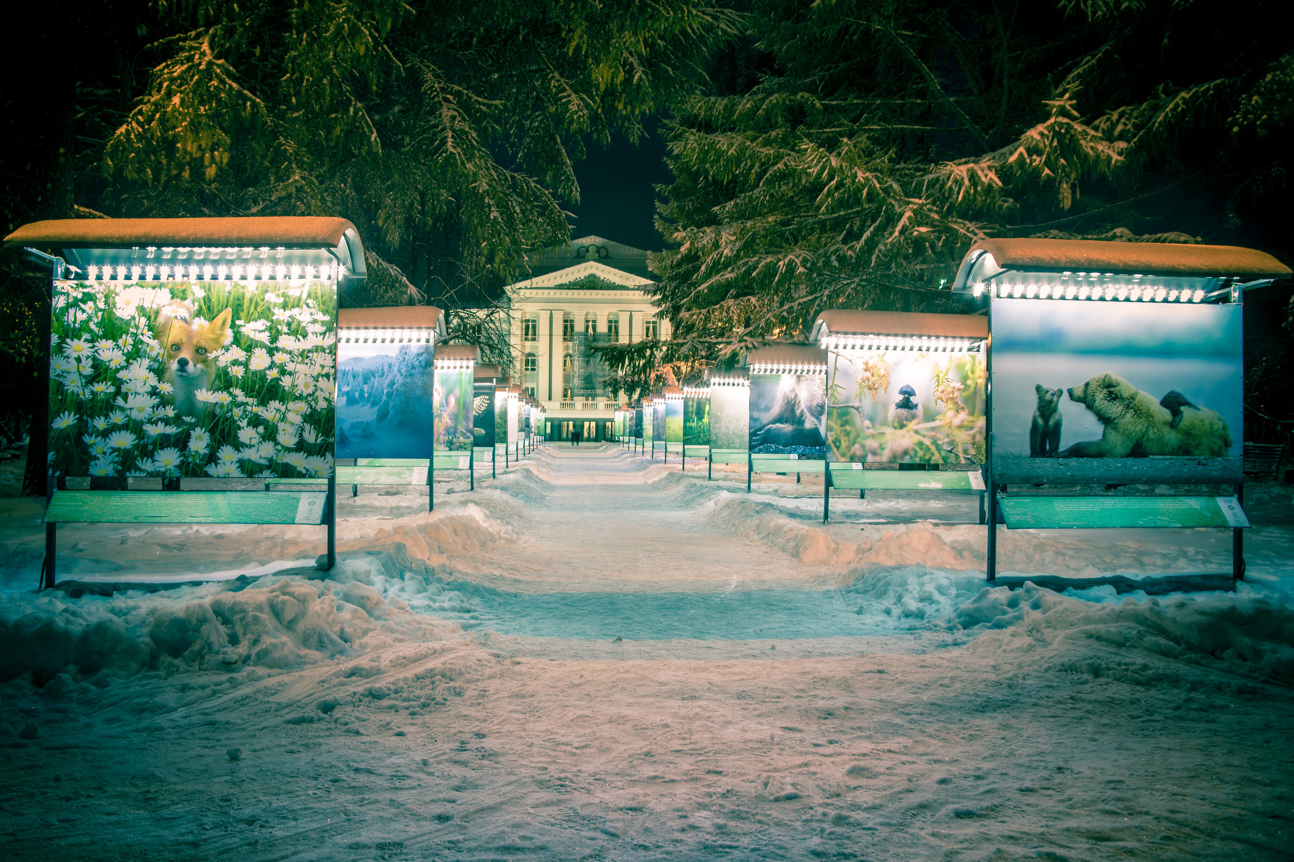 Виды Перми и окрестностей. Фотограф Никита Попов. Фотограф Пермь. Фотосессия в фотостудии Перми и на свежем воздухе