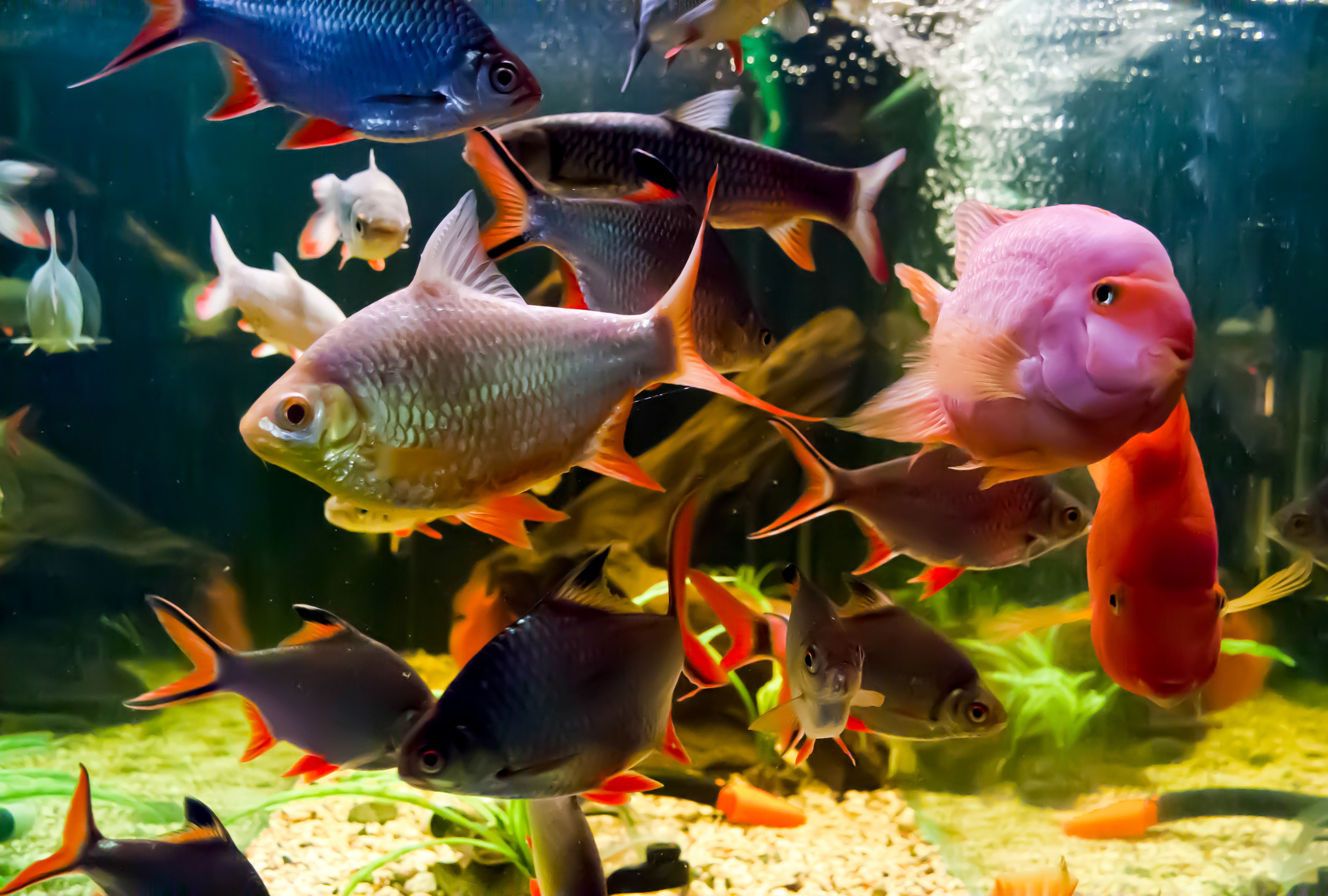 Репортажная фотосъемка в Перми. Фотограф Пермь. Фотосессия в фотостудии Перми и на свежем воздухе