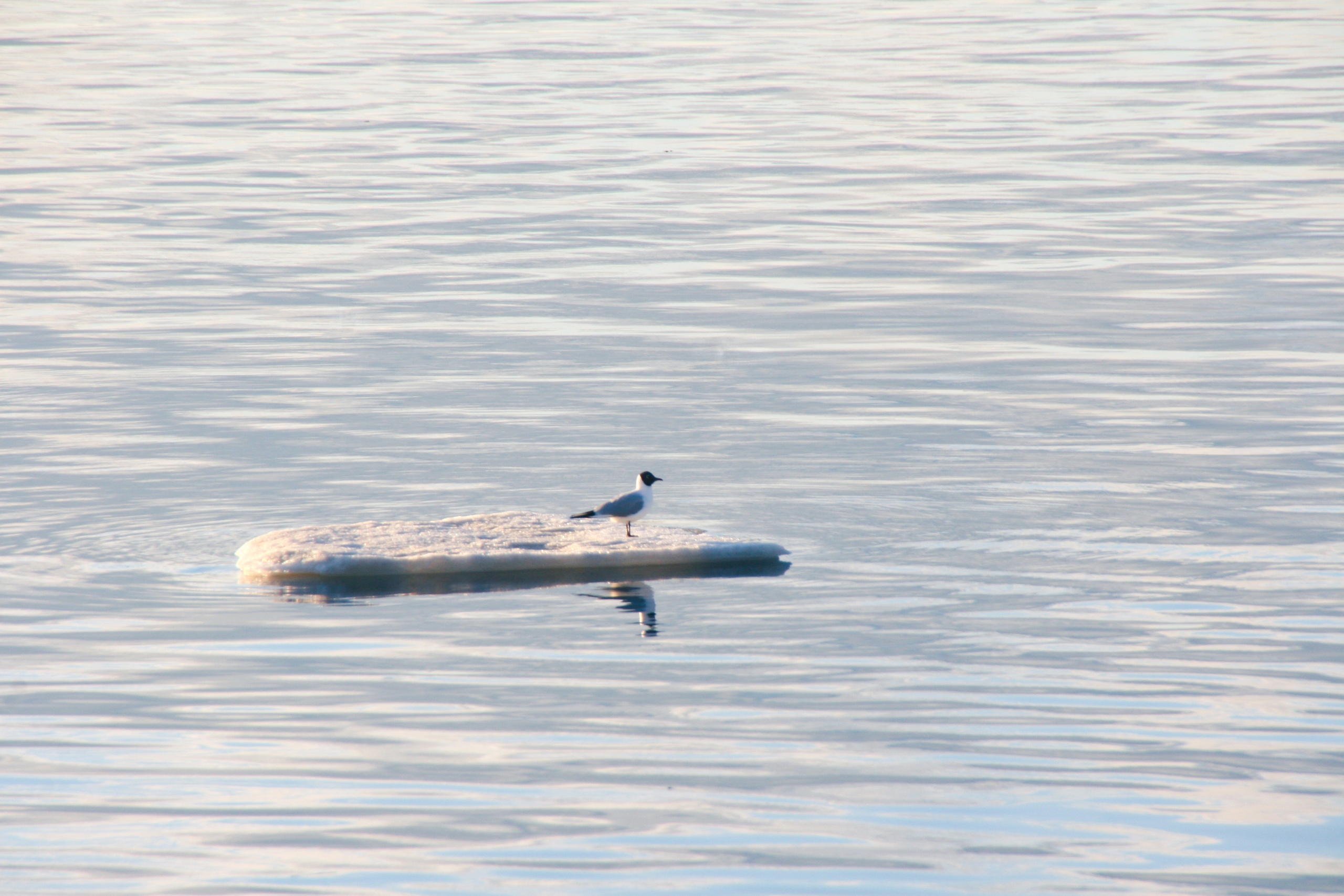 Репортажная фотосъемка в Перми. Фотограф Пермь. Фотосессия в фотостудии Перми и на свежем воздухе