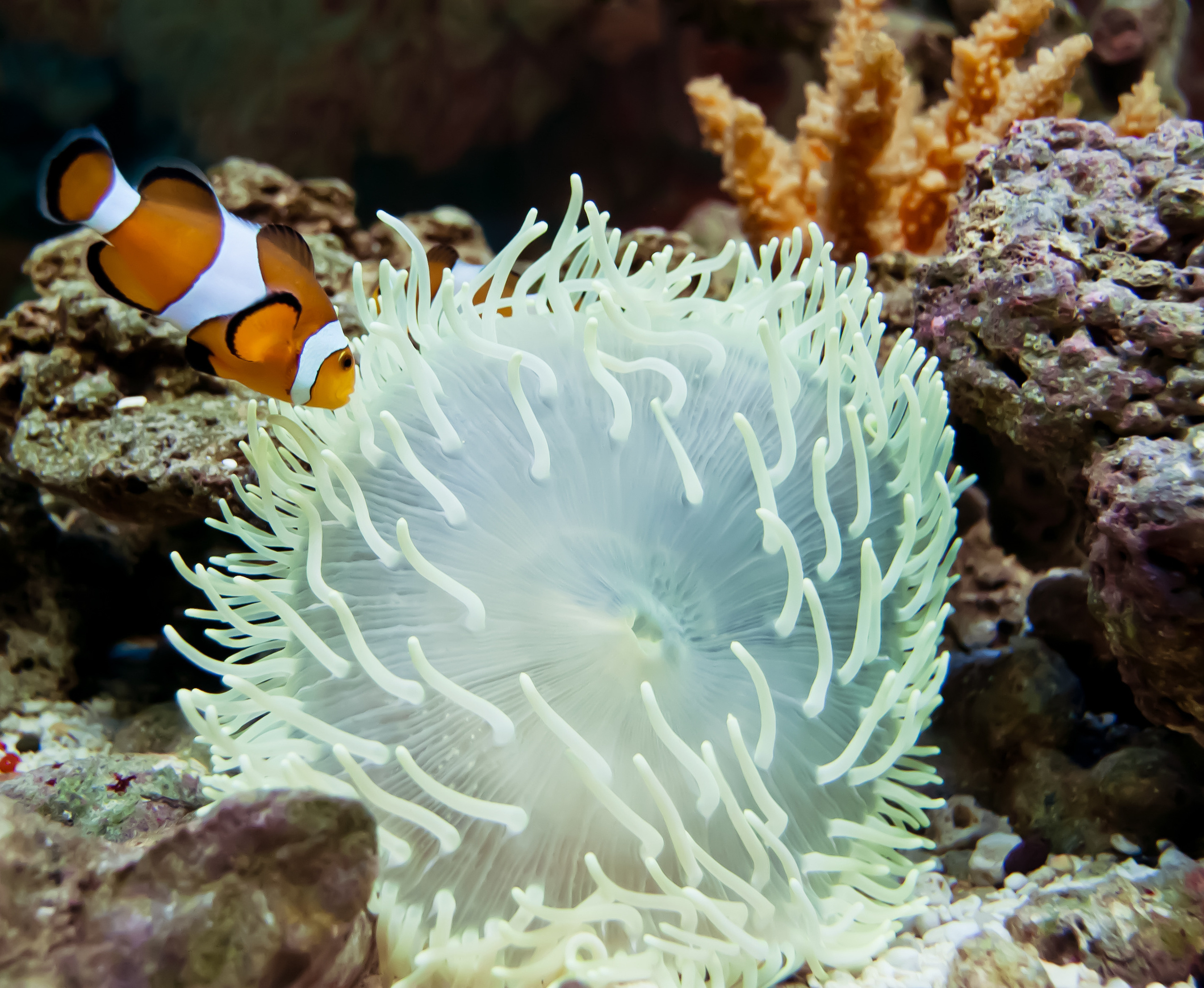 Репортажная фотосъемка в Перми. Фотограф Пермь. Фотосессия в фотостудии Перми и на свежем воздухе