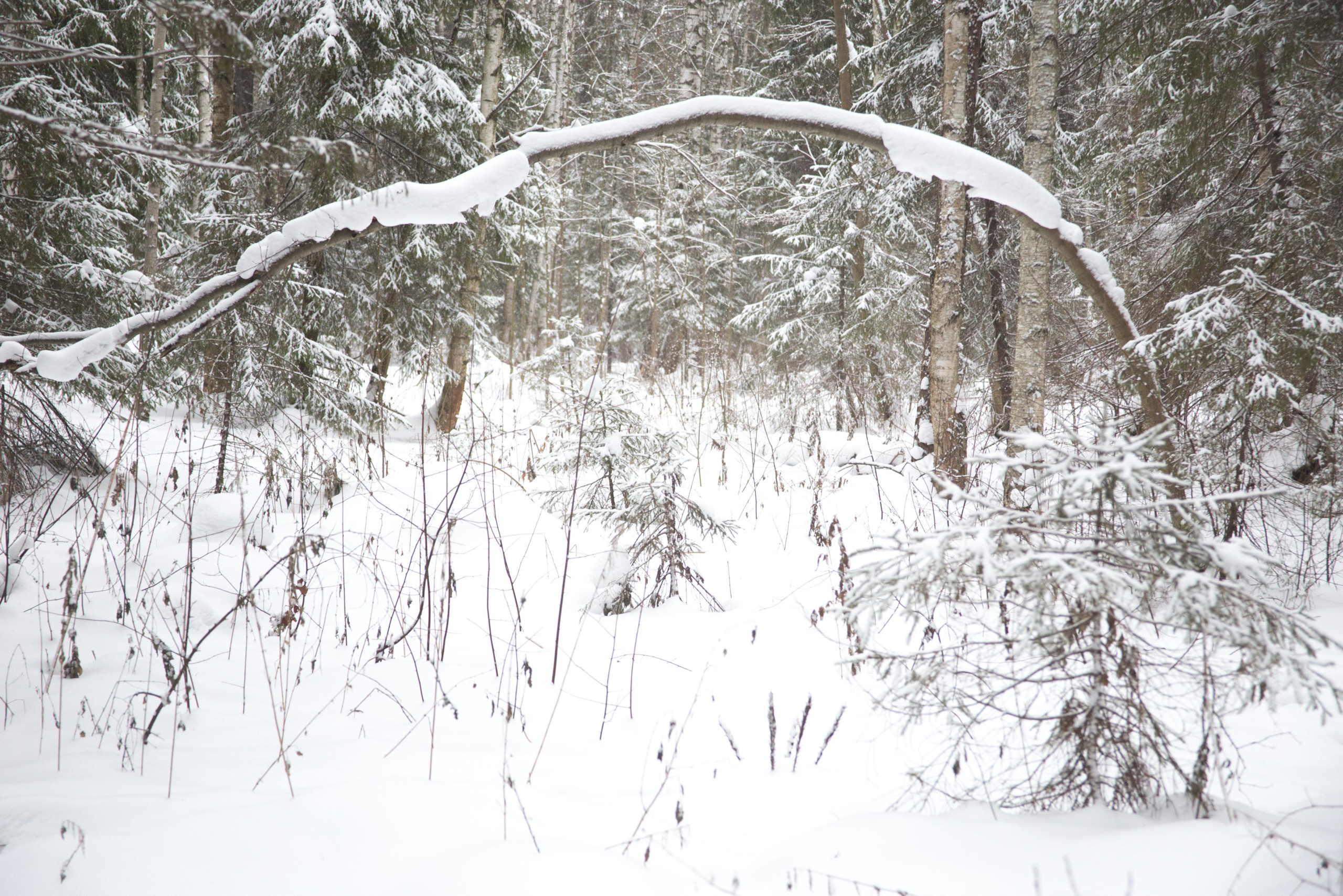 Виды Перми и окрестностей. Фотограф Никита Попов. Фотограф Пермь. Фотосессия в фотостудии Перми и на свежем воздухе