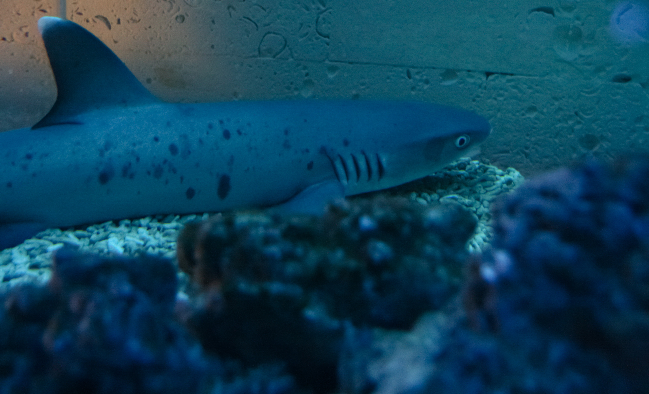 Репортажная фотосъемка в Перми. Фотограф Пермь. Фотосессия в фотостудии Перми и на свежем воздухе