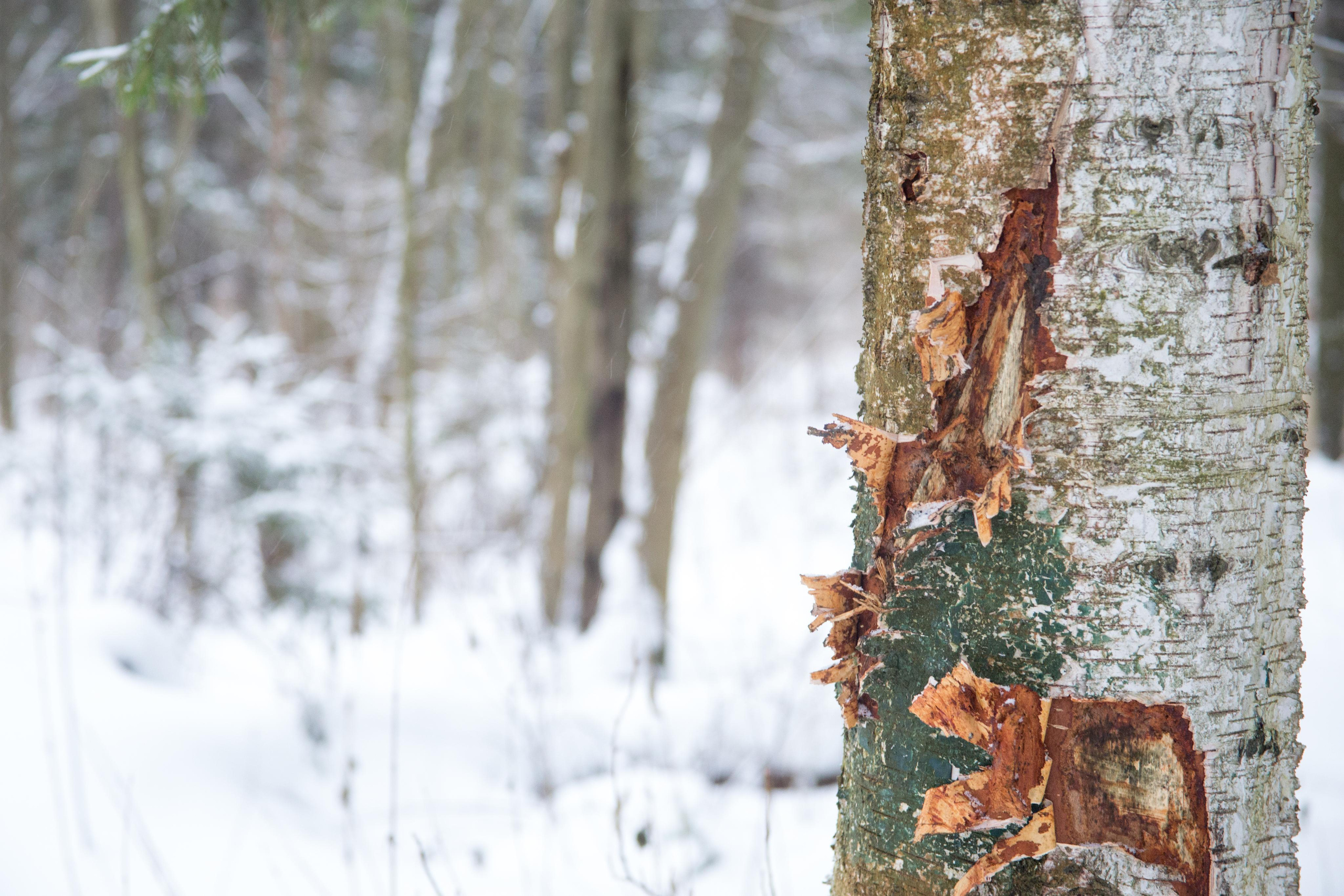 Виды Перми и окрестностей. Фотограф Никита Попов. Фотограф Пермь. Фотосессия в фотостудии Перми и на свежем воздухе