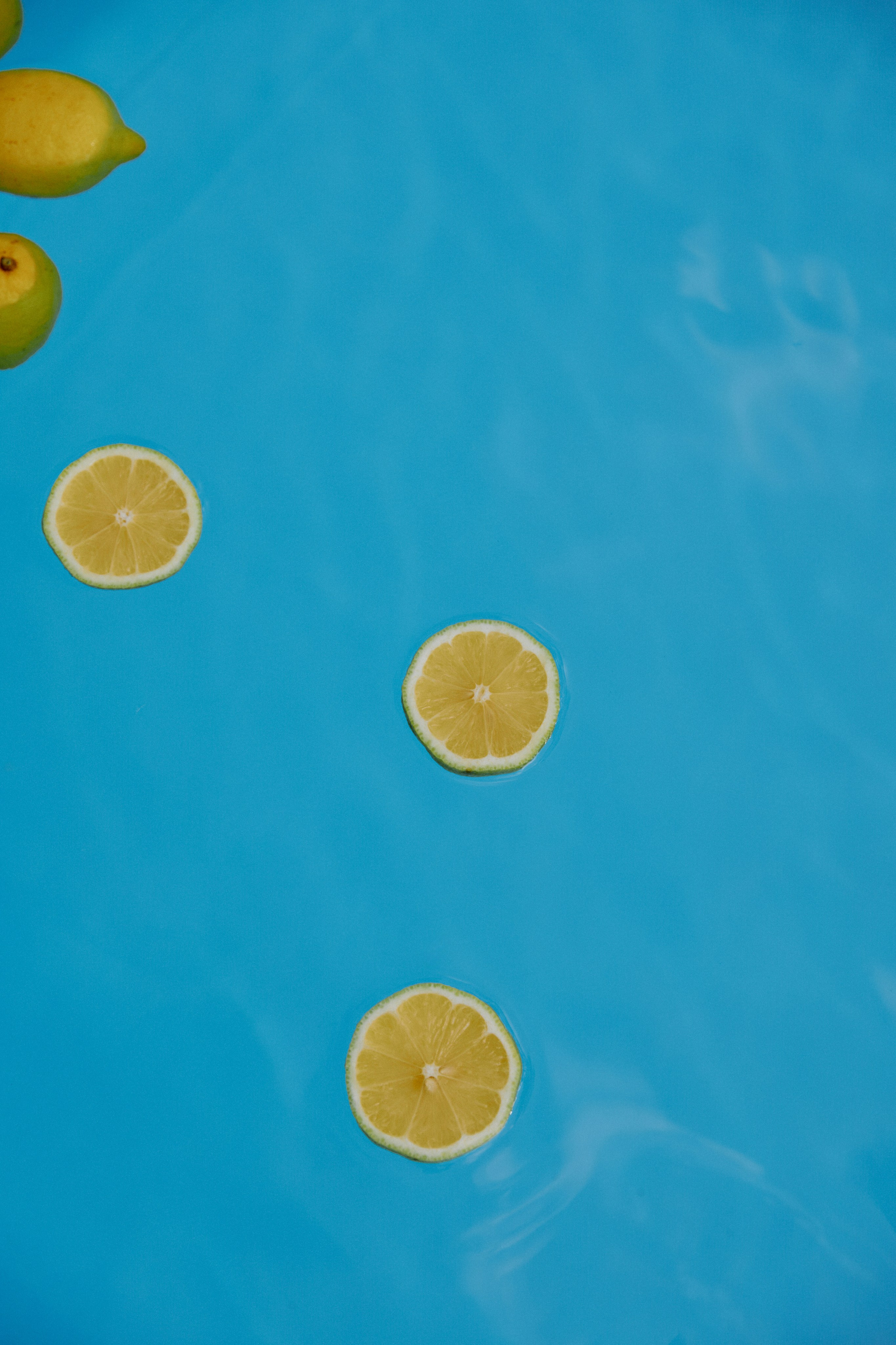 Лаймовое настроение. Фотограф Елена Краснопевцева