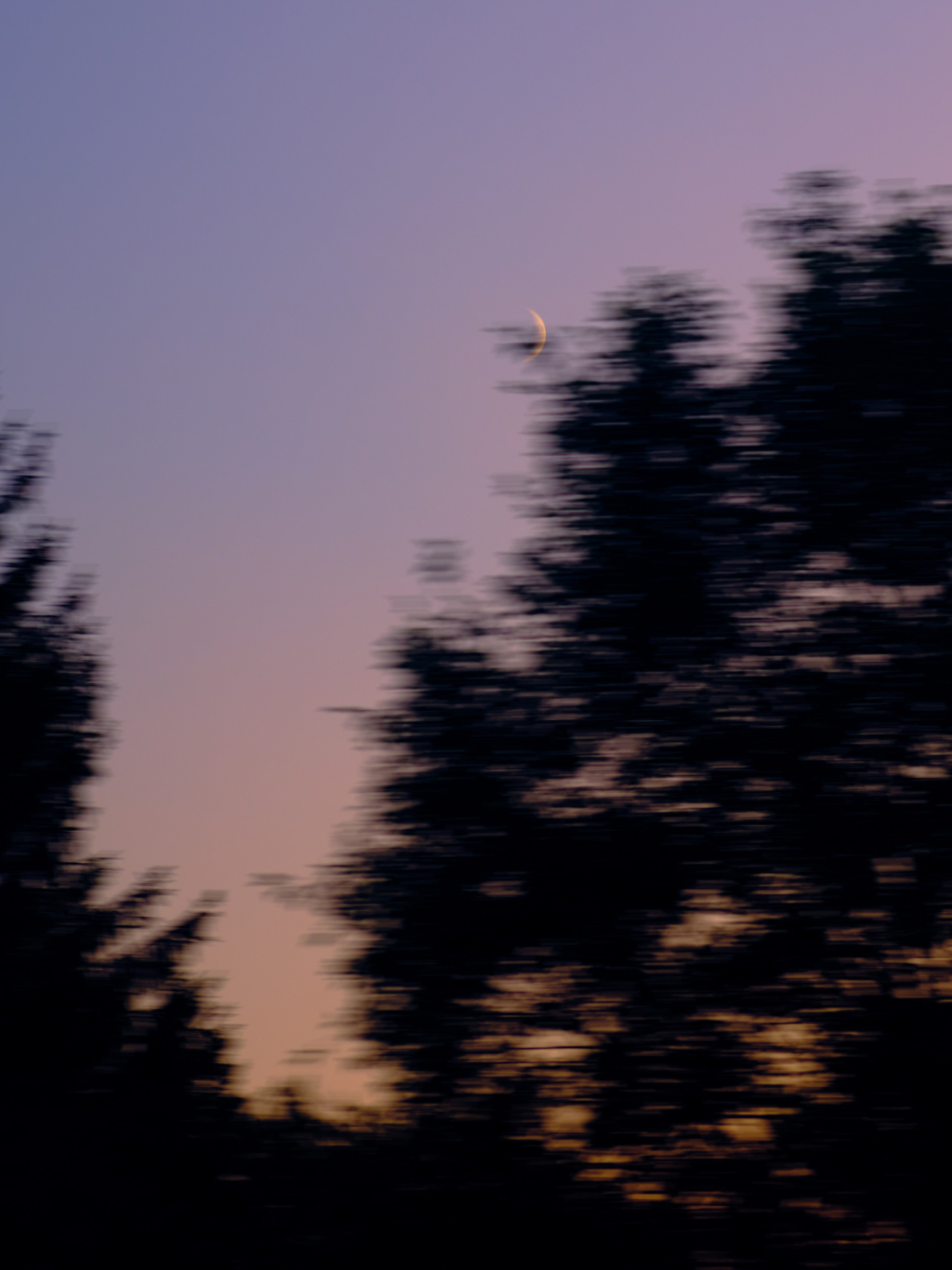 Фотограф Юлия Глазкова