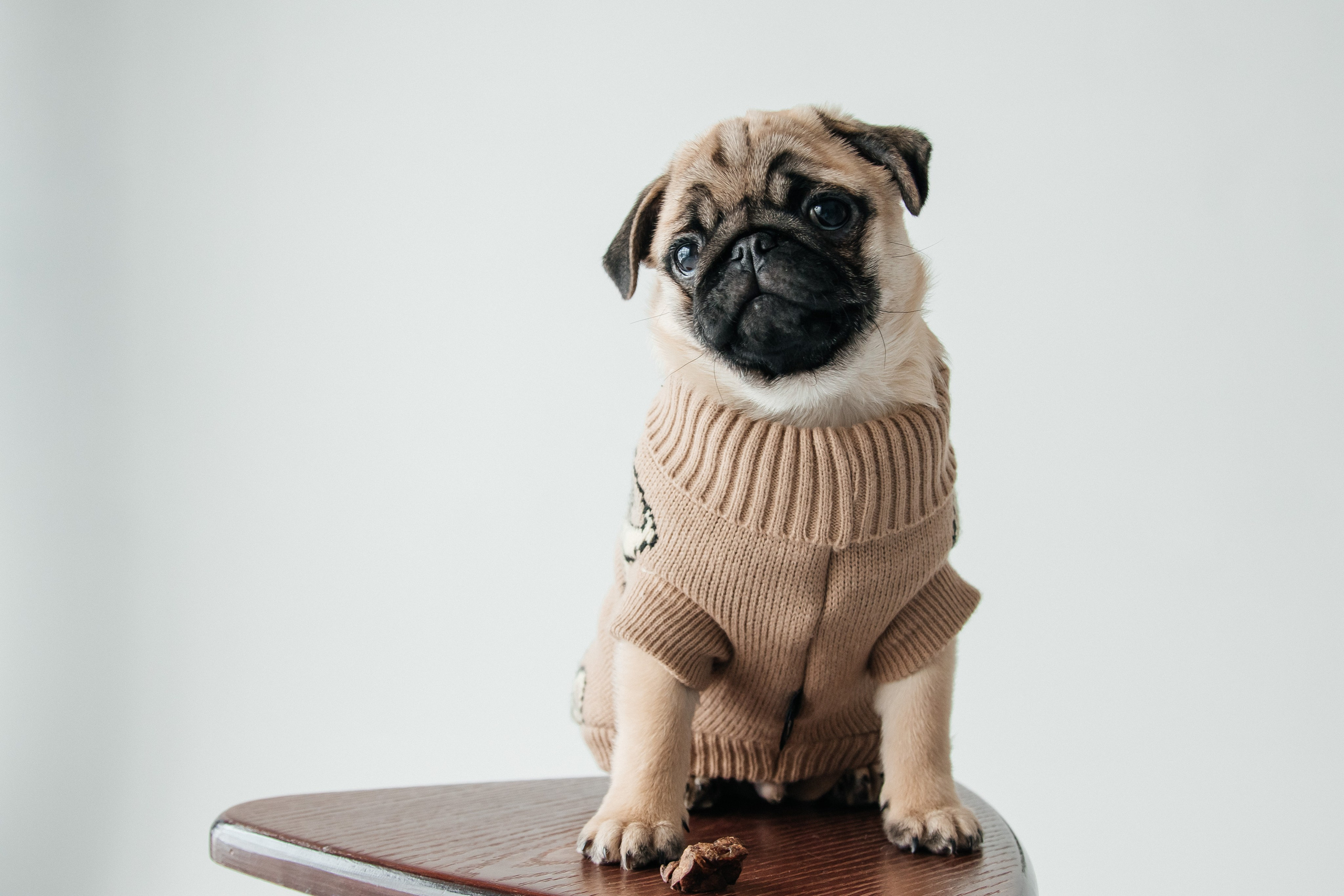 10.11.2024. Свадебный и семейный фотограф в Нижневартовске Татьяна Мартынова