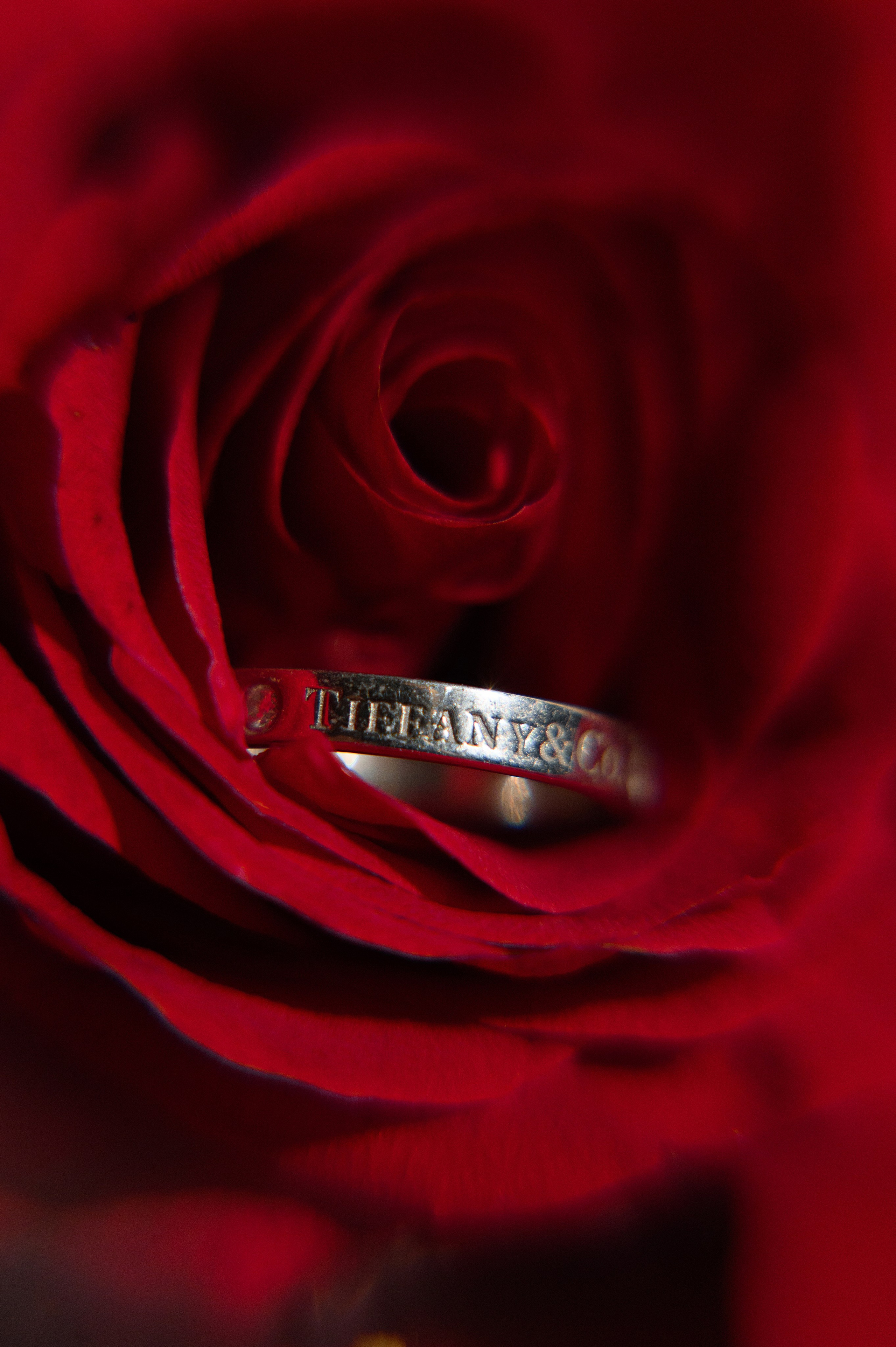 «I ROSE YOU» Нариман и София. Свадебный фотограф и видеограф