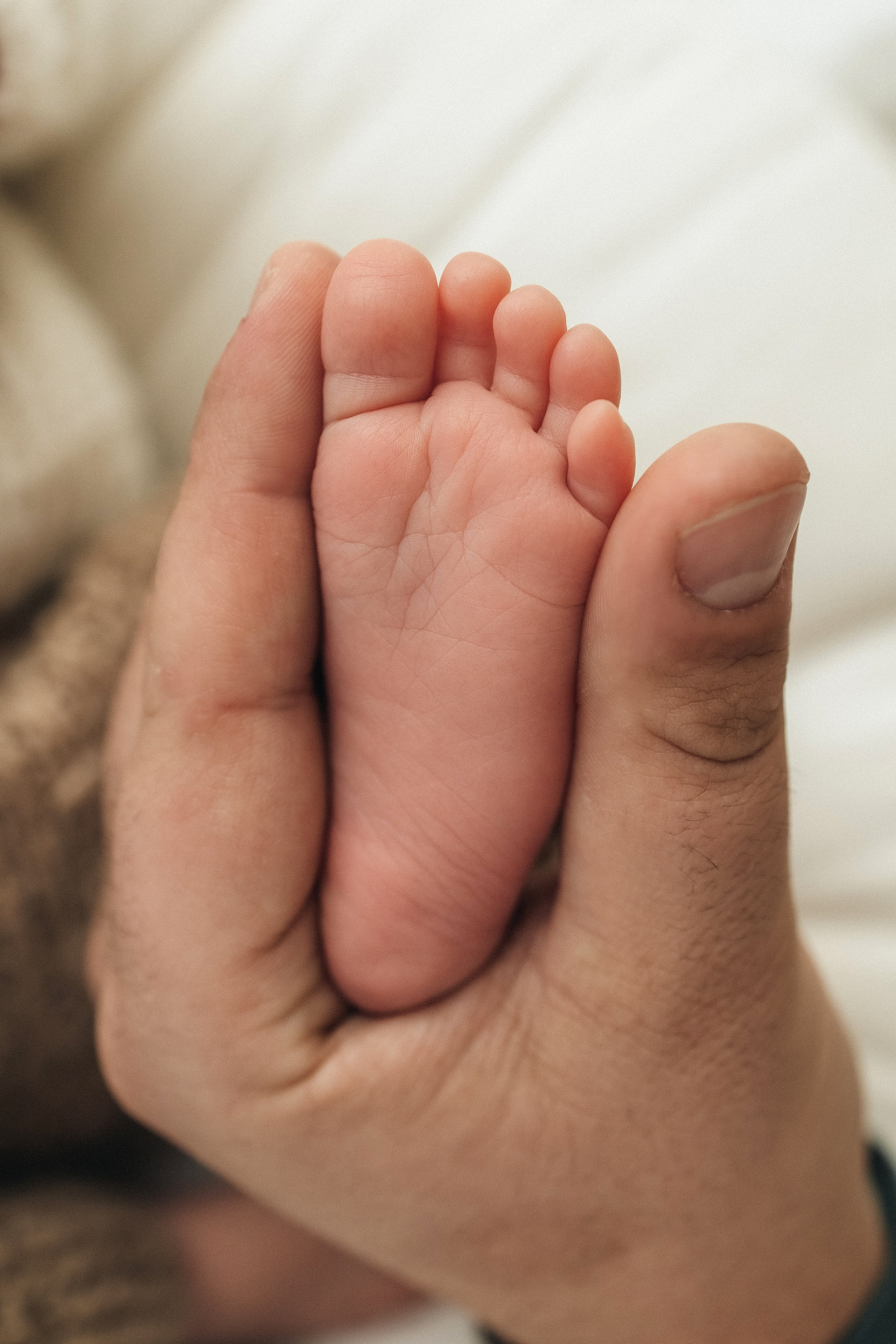 ПАКЕТ «Simple». Главная