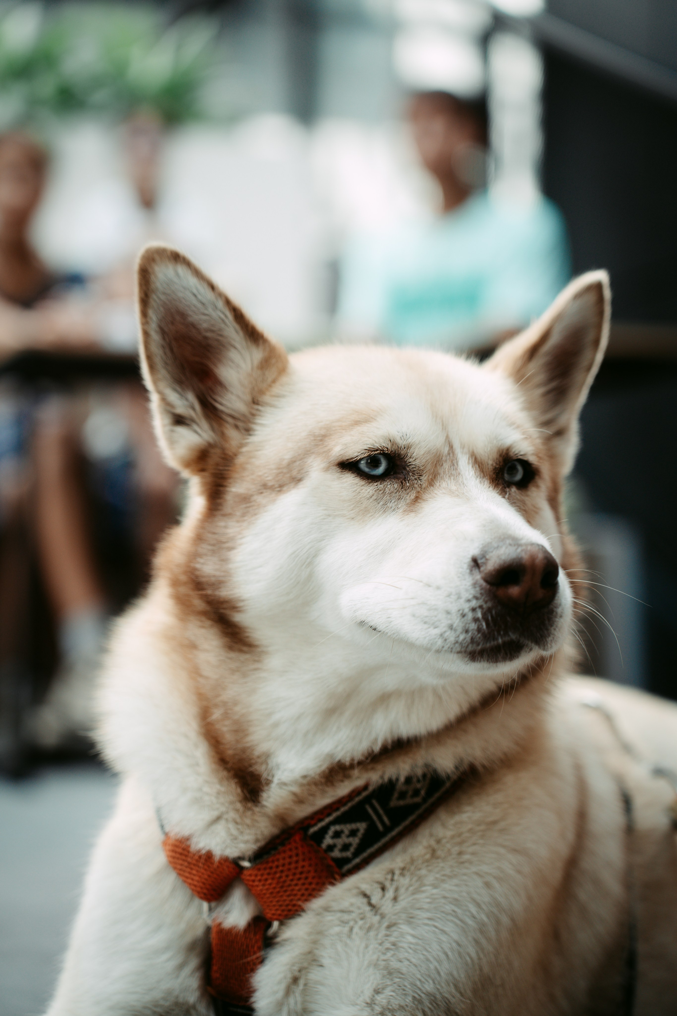 День рождения Арт-центра. Главная